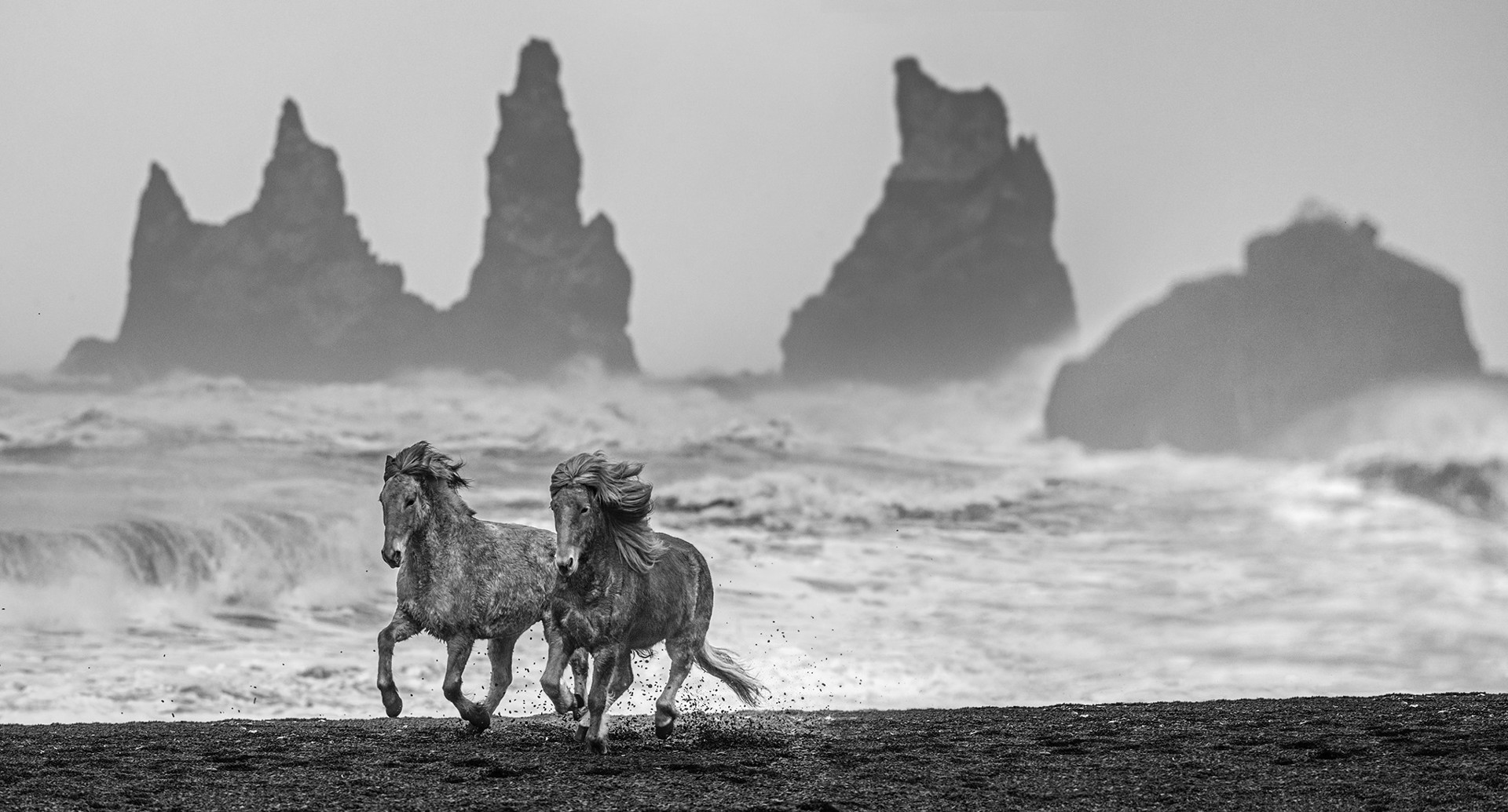 Wild Horses by David Yarrow