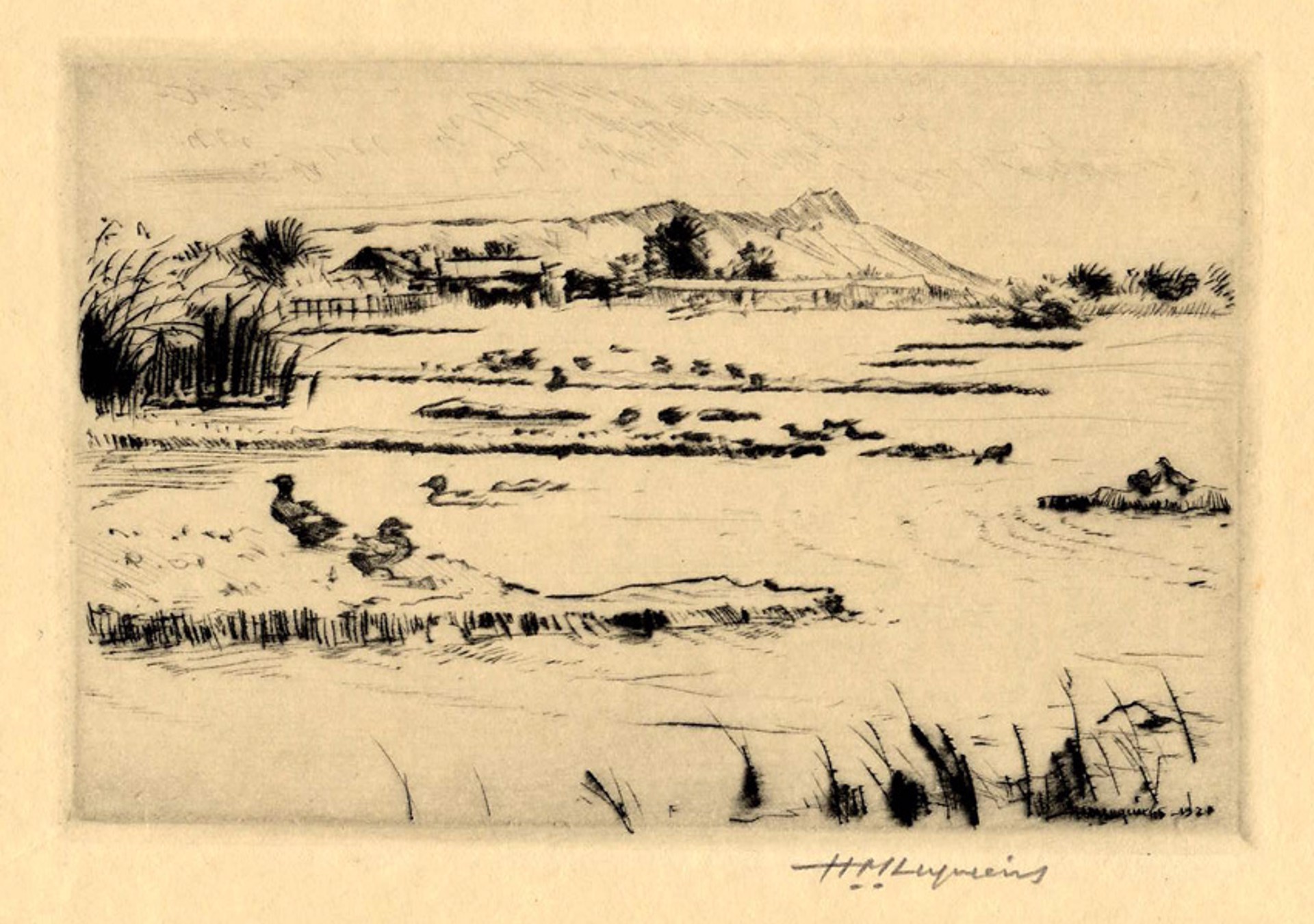 Untitled view of Diamond Head by Huc Mazelet Luquiens