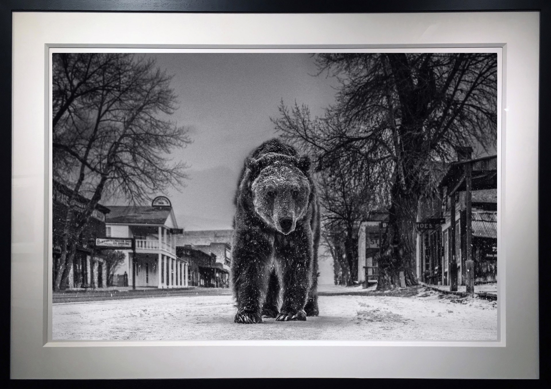 Out of Towner by David Yarrow