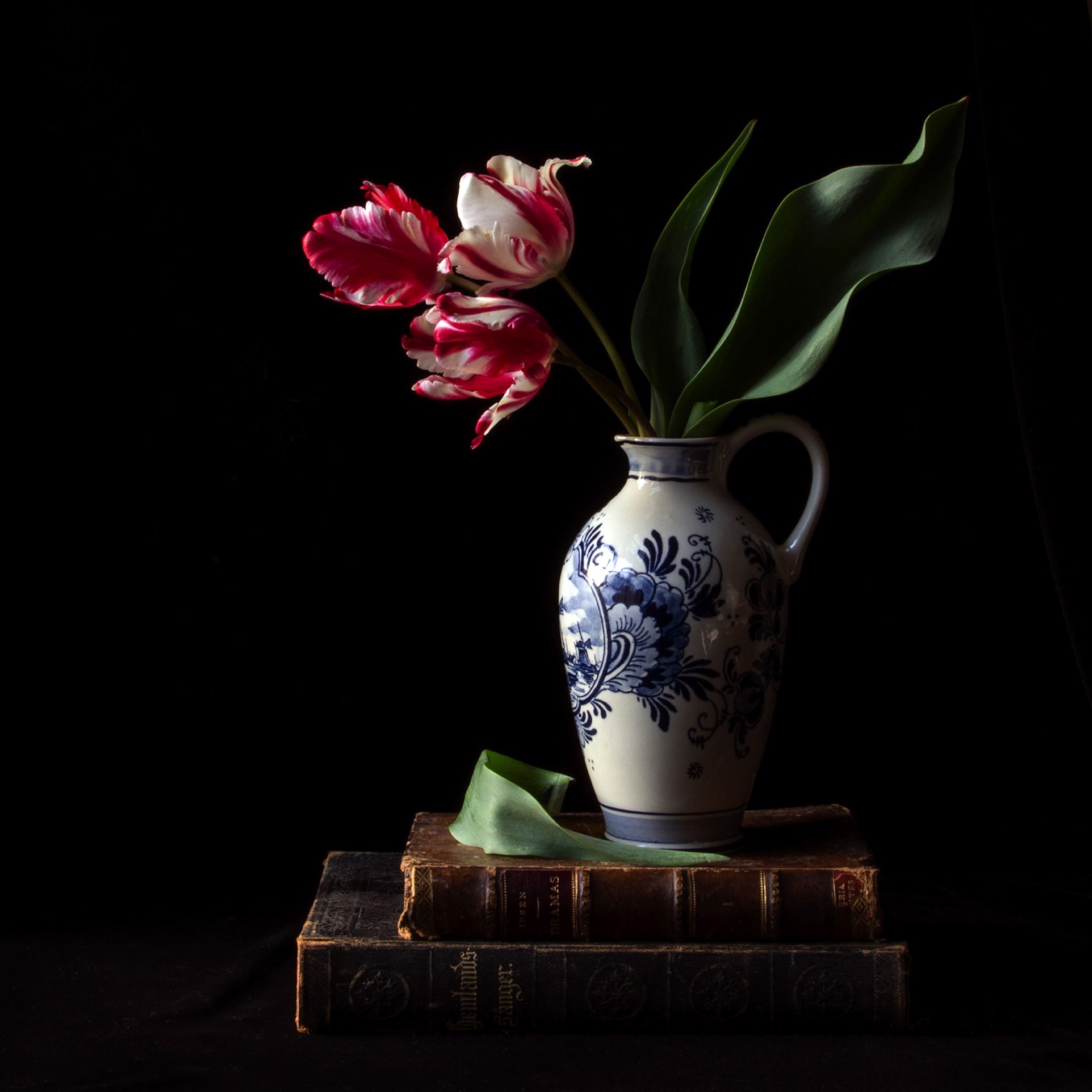 Vanitas with Parrot Tulips 6334, 1/5 by Molly Wood