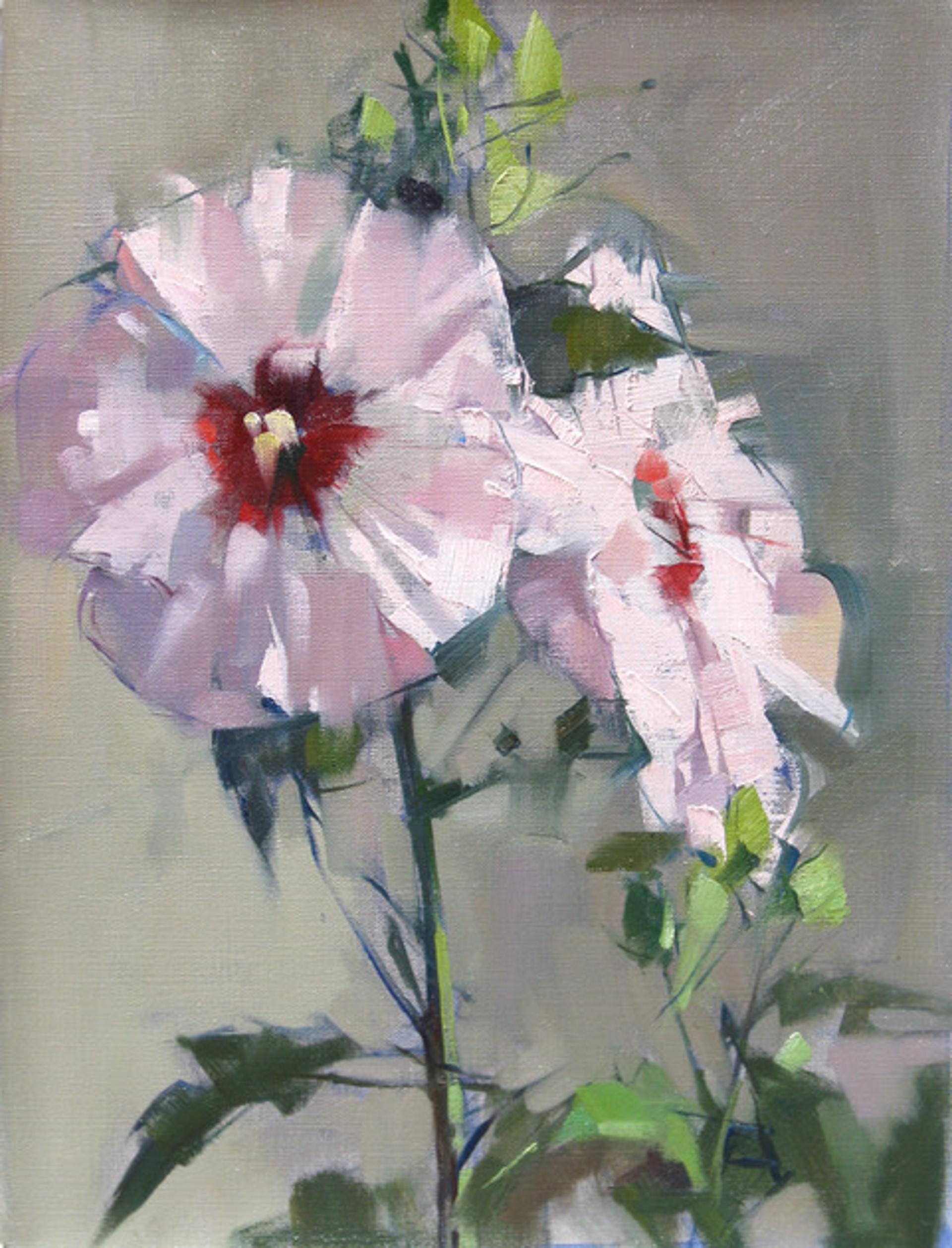 Hibiscus & Buds by Maggie Siner