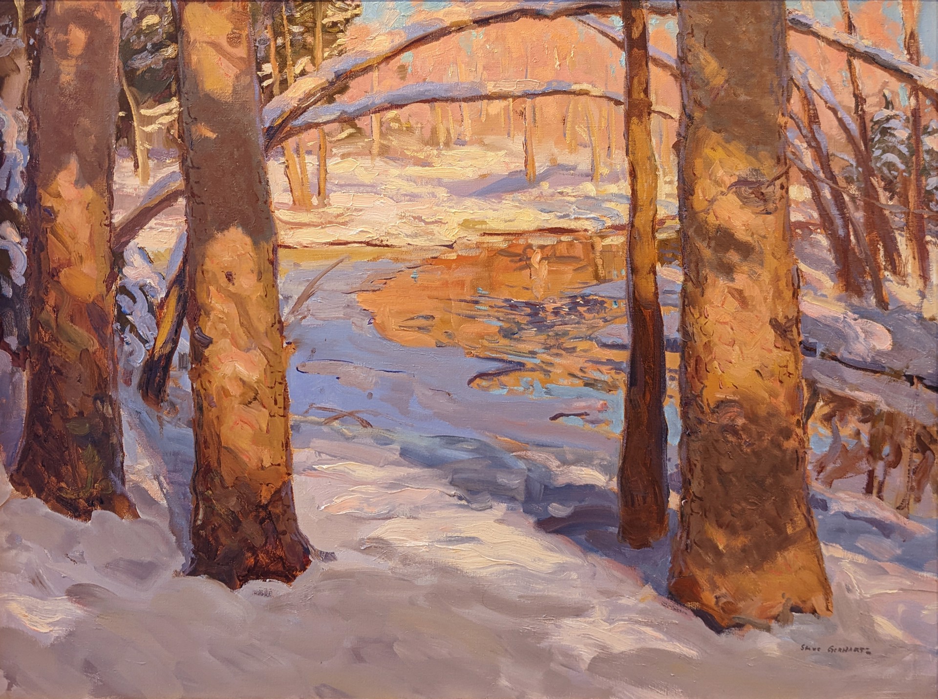 Spruces Along the River by Steve Gerhartz