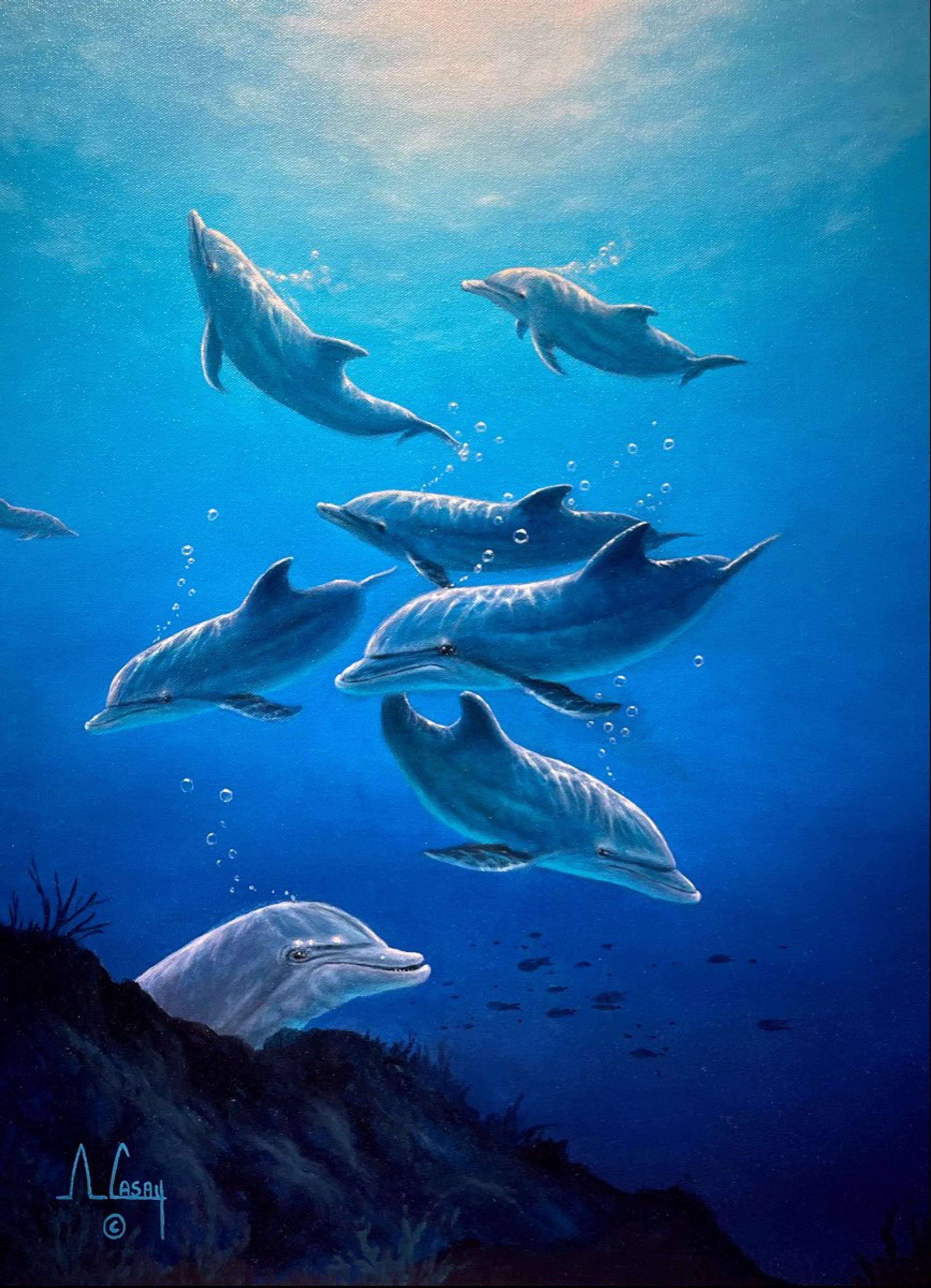 Dolphin Family by Anthony Casay