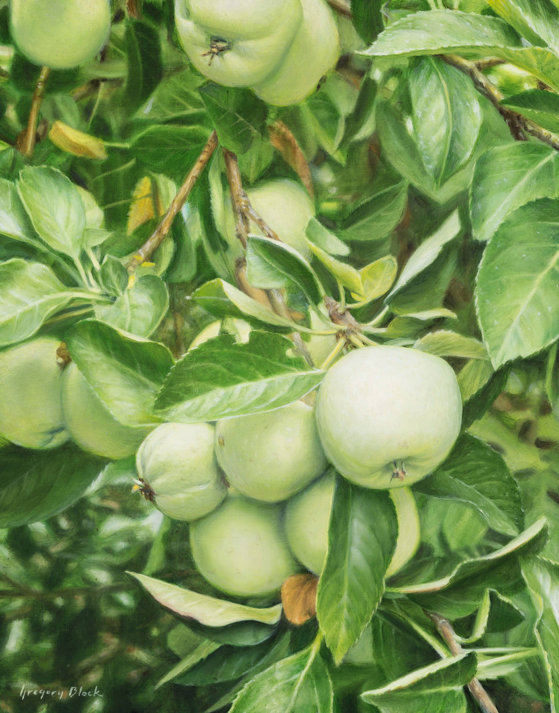 Green Apples by Gregory Block