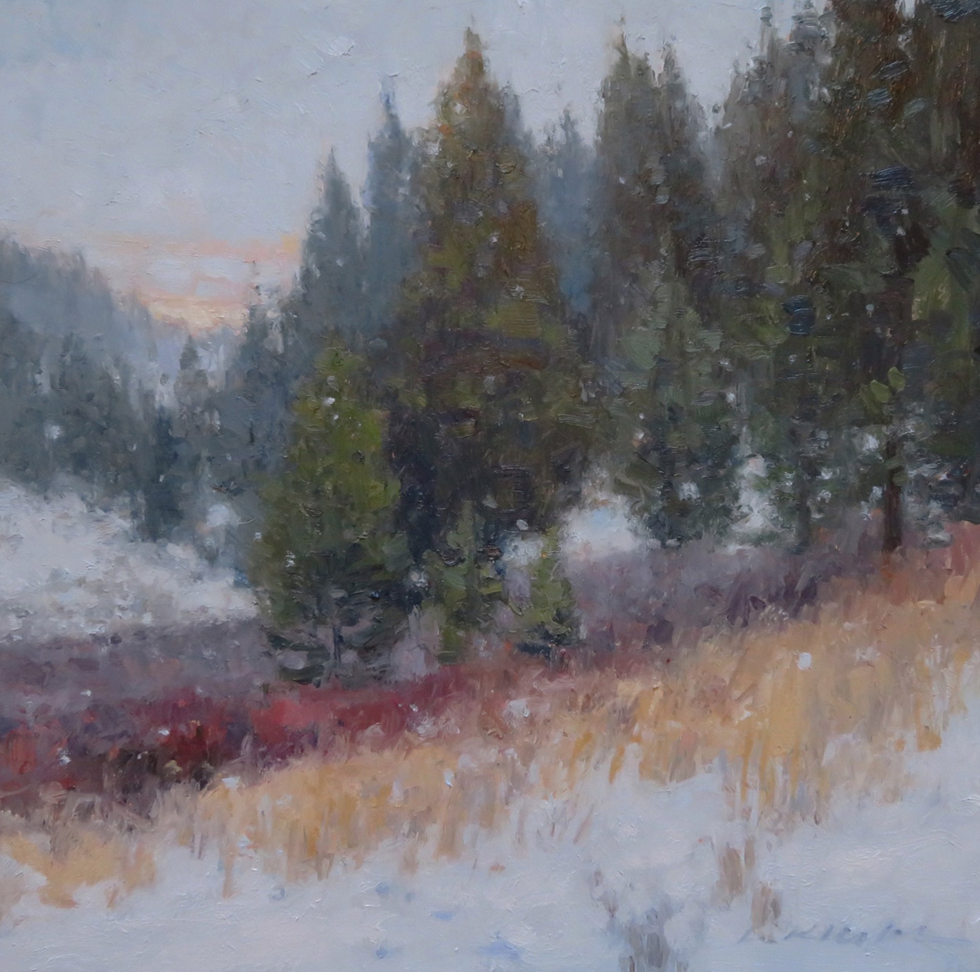 Light Snow by Kate Kiesler