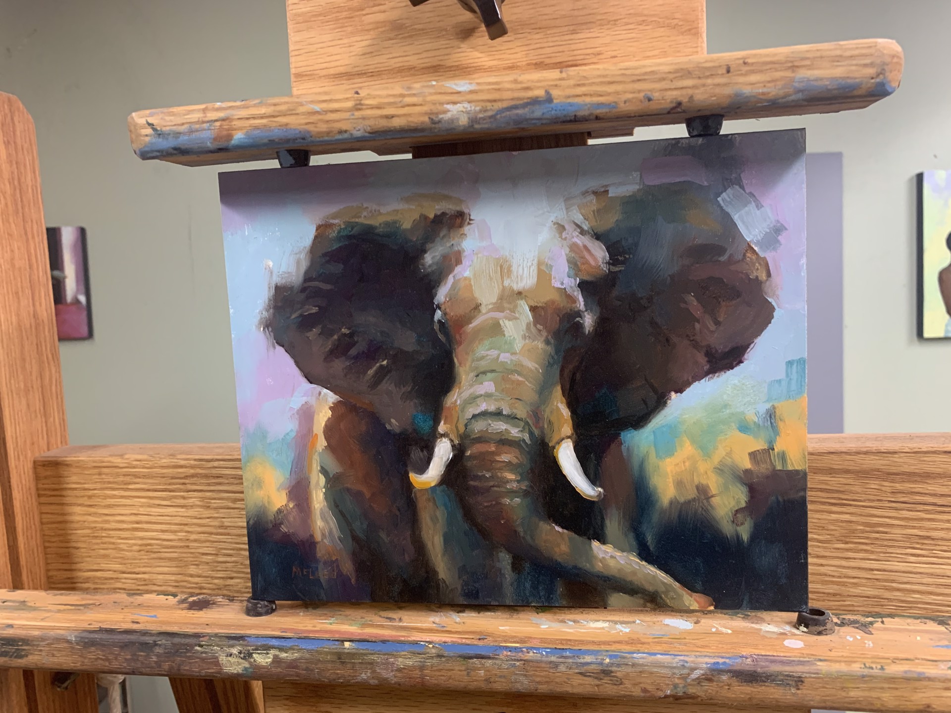Elephant by John McLeod