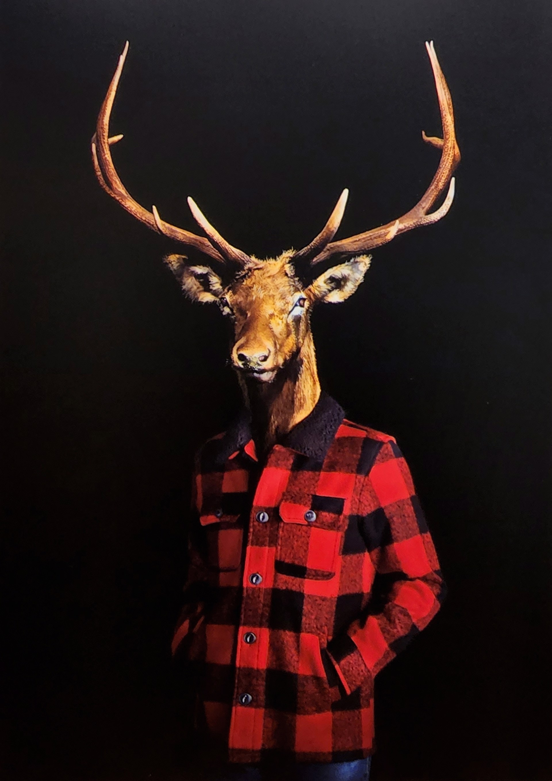 Retrato numero 106 deer by Miguel Vallinas