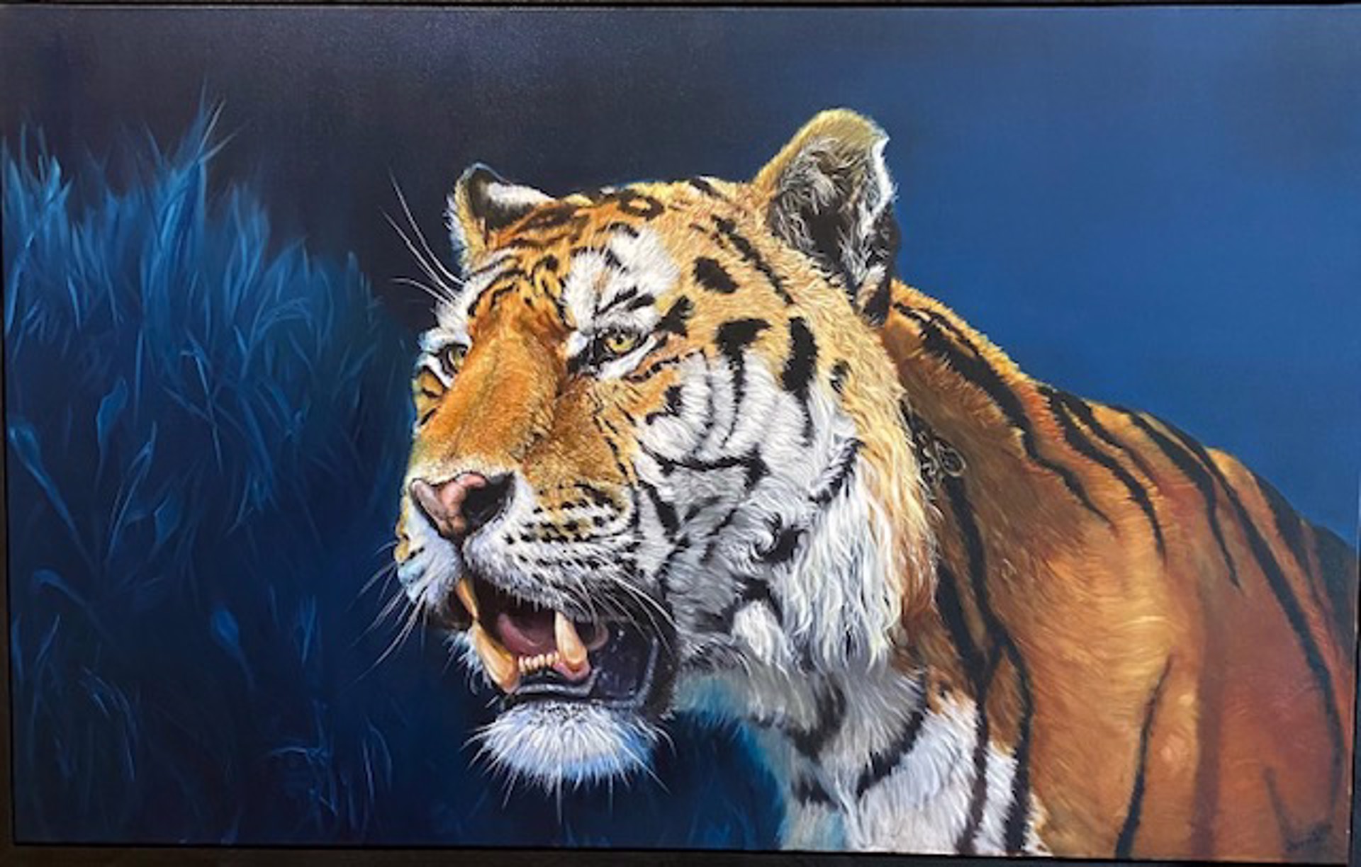 Tiger by Doreen Ingebrigtsen