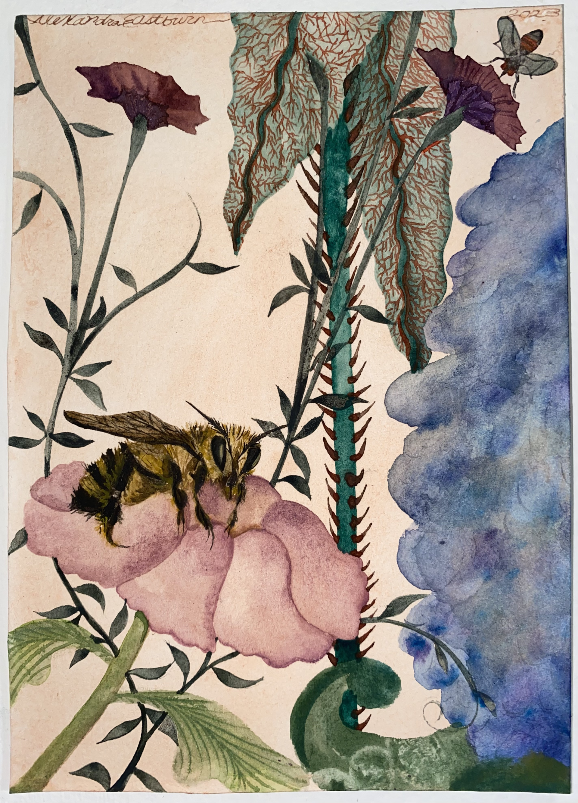 Mallow Fluff by Alexandra Eastburn