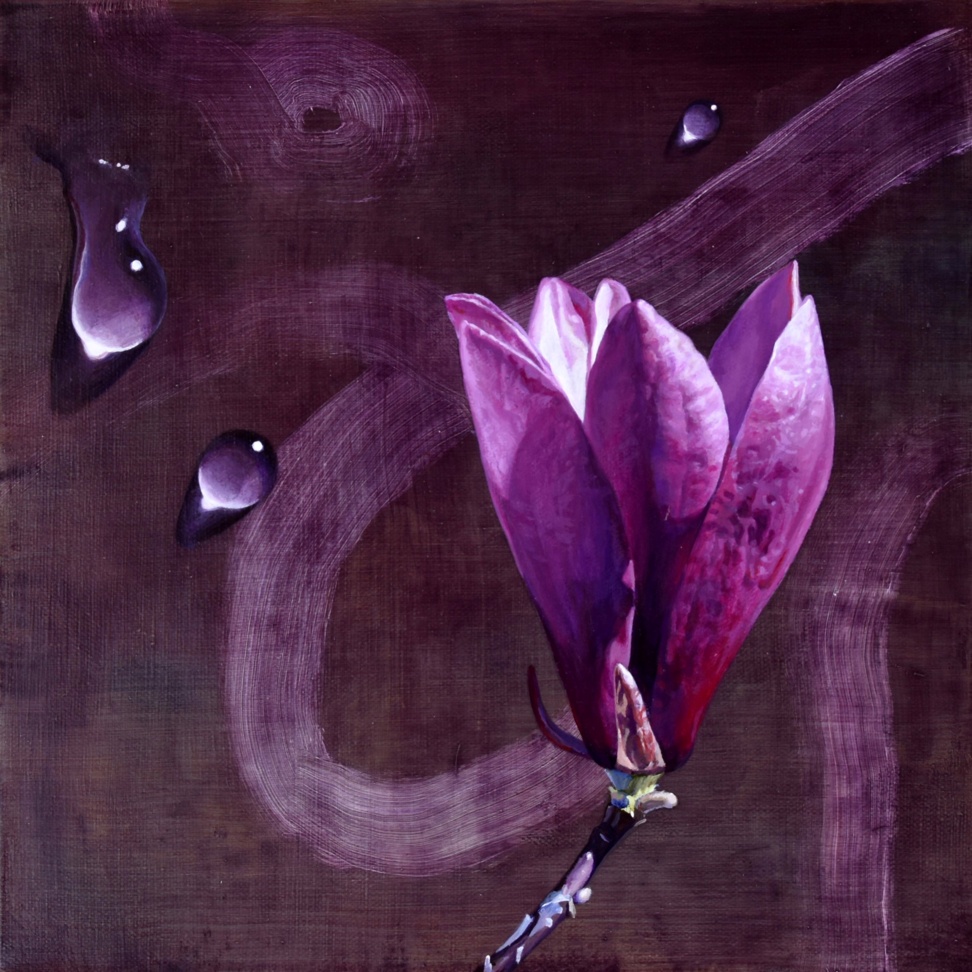 Purple Magnolia by Paul Art Lee