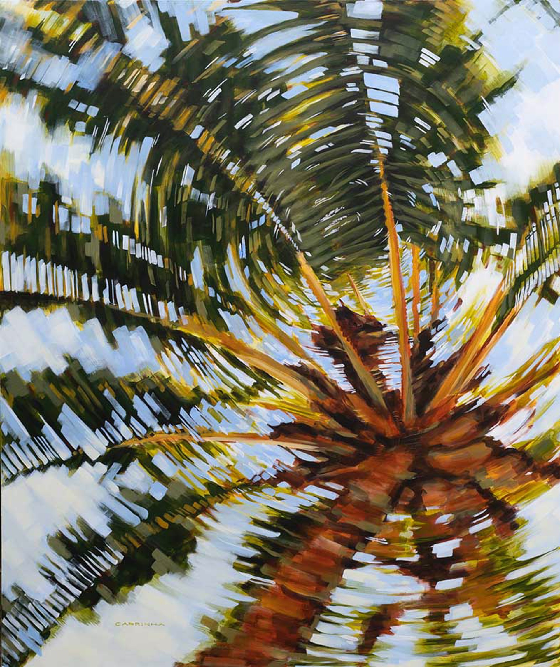 Palm Spin by Pete Cabrinha