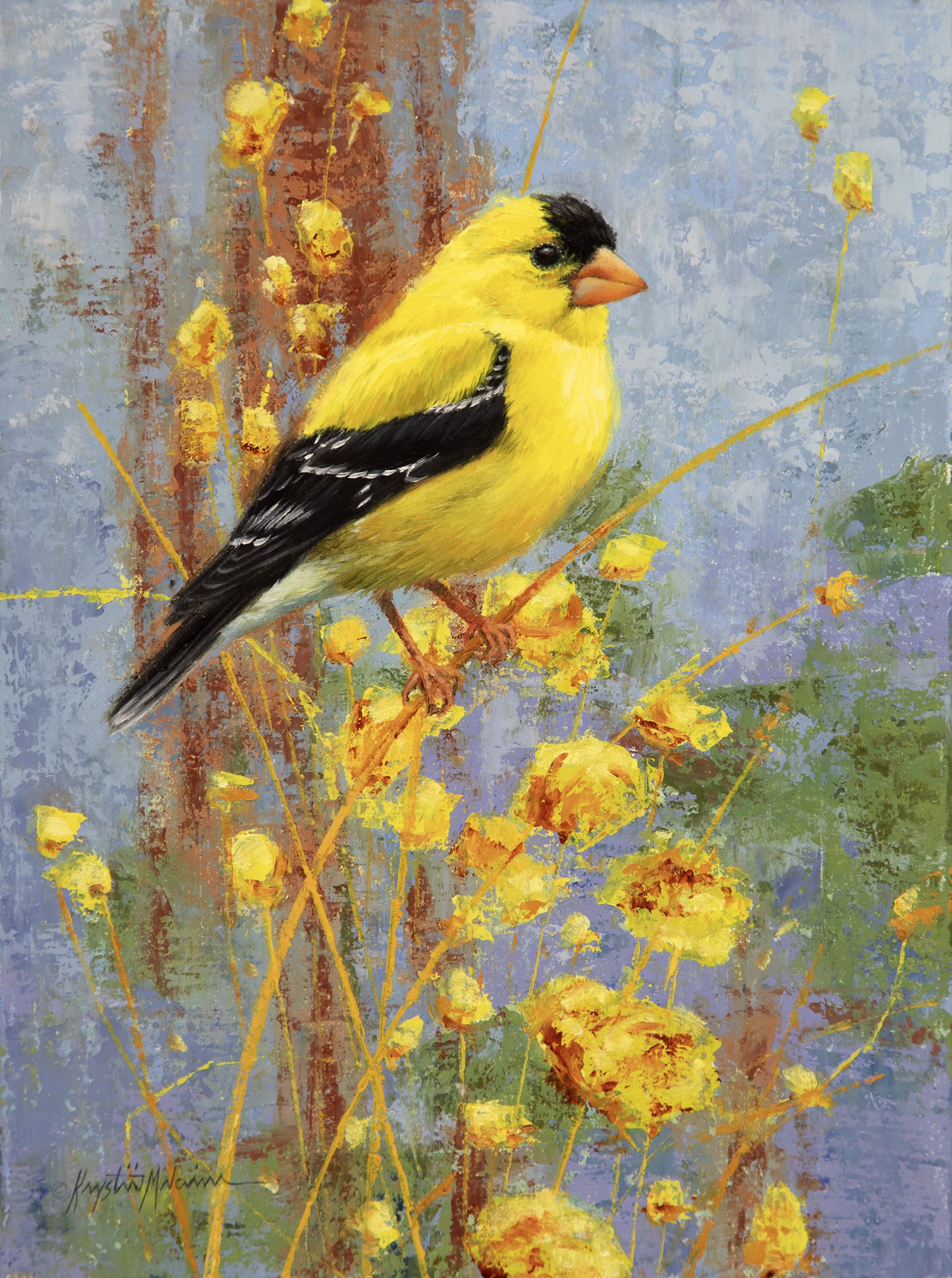 Lemon Delight- American Goldfinch by Krystii Melaine