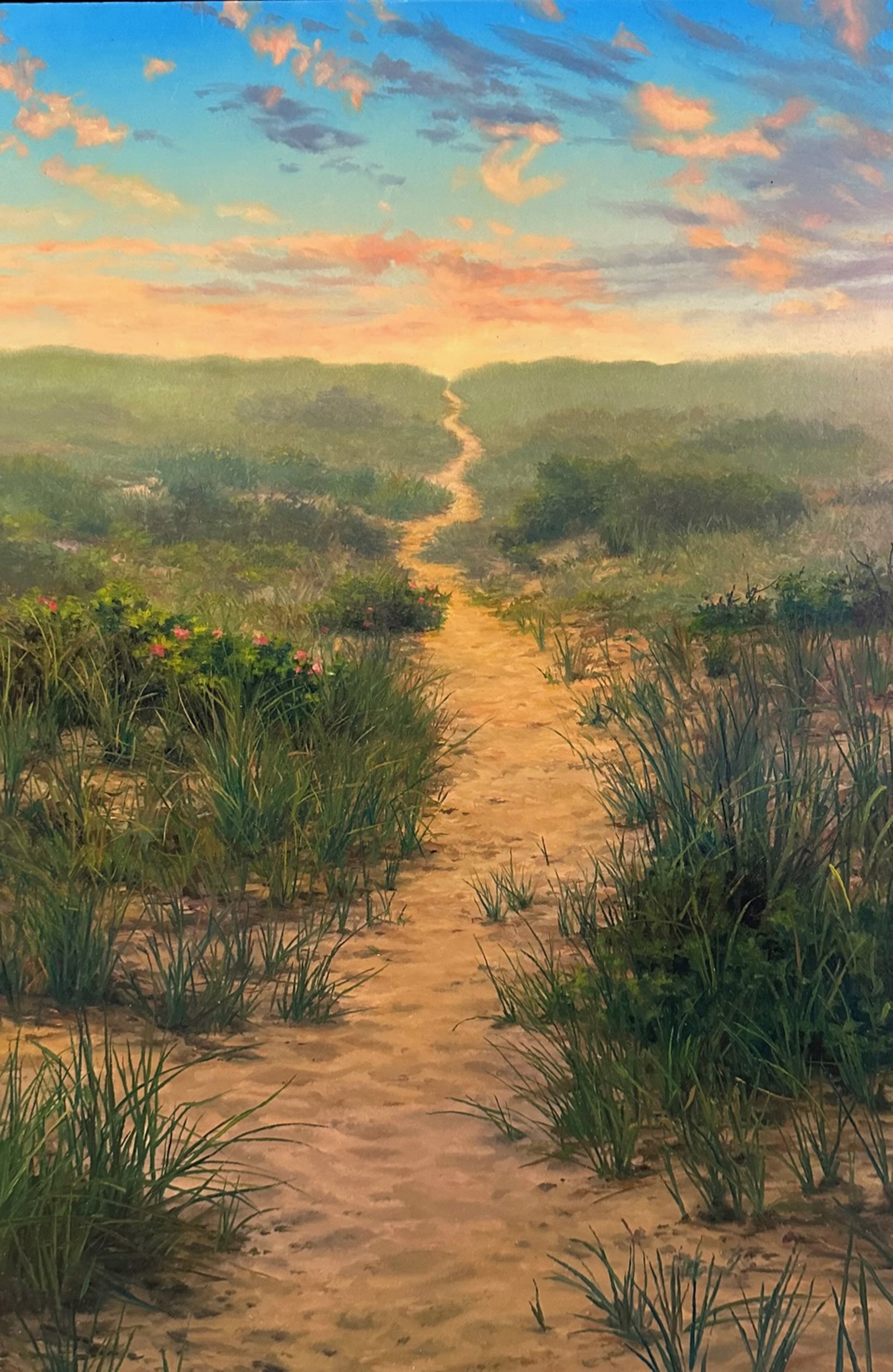 Path to the Beach by Scott Prior
