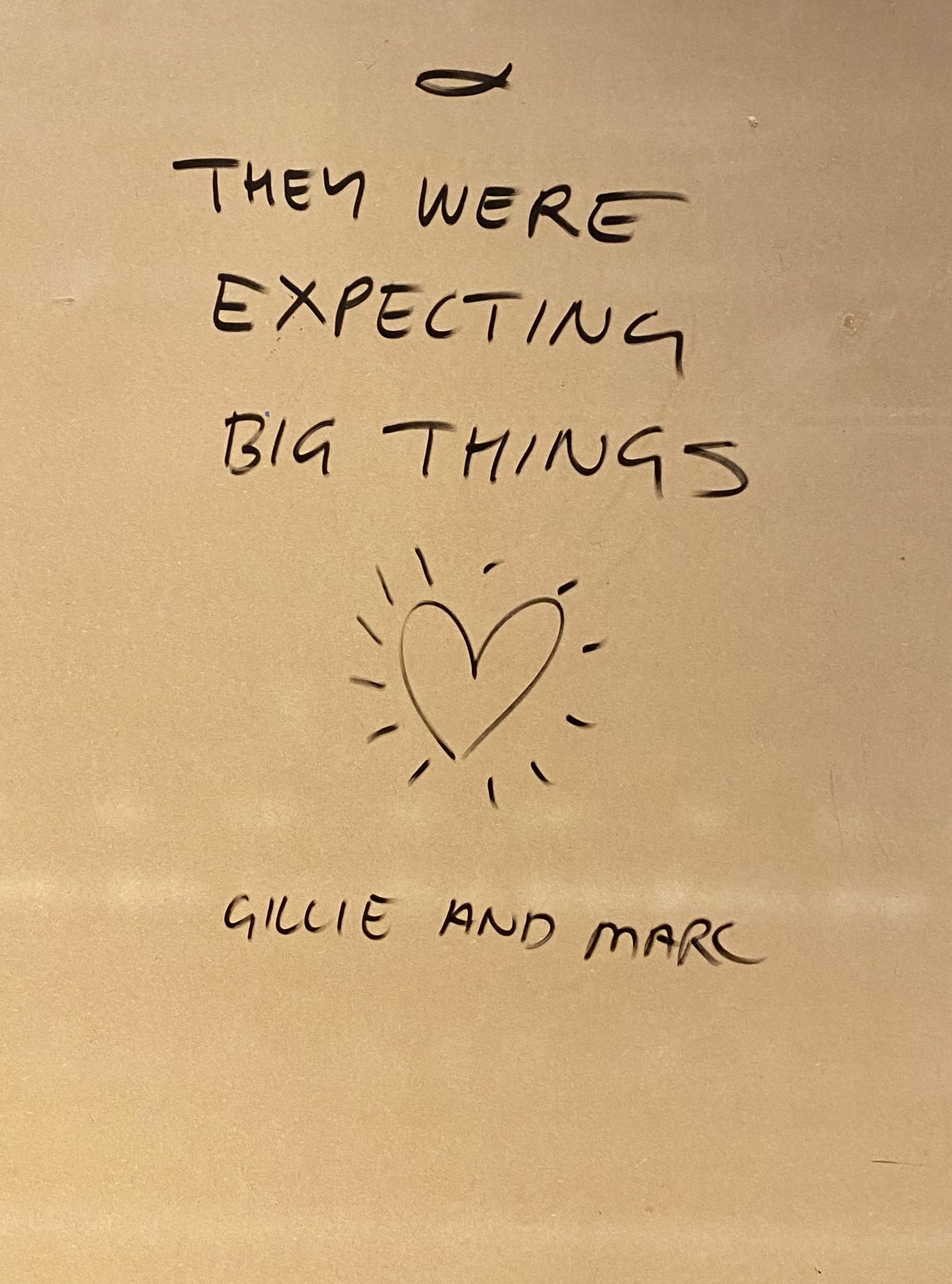 They were expecting big things by Gillie and Marc Schattner