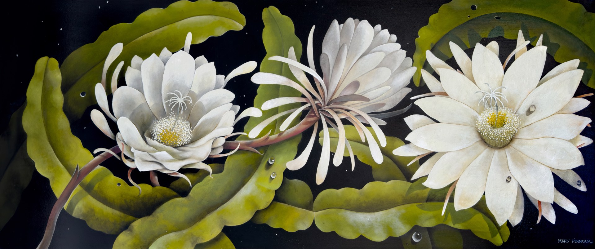 Moon Flowers Choir (Epiphyllum Oxypetalum) by Mary Pinnock