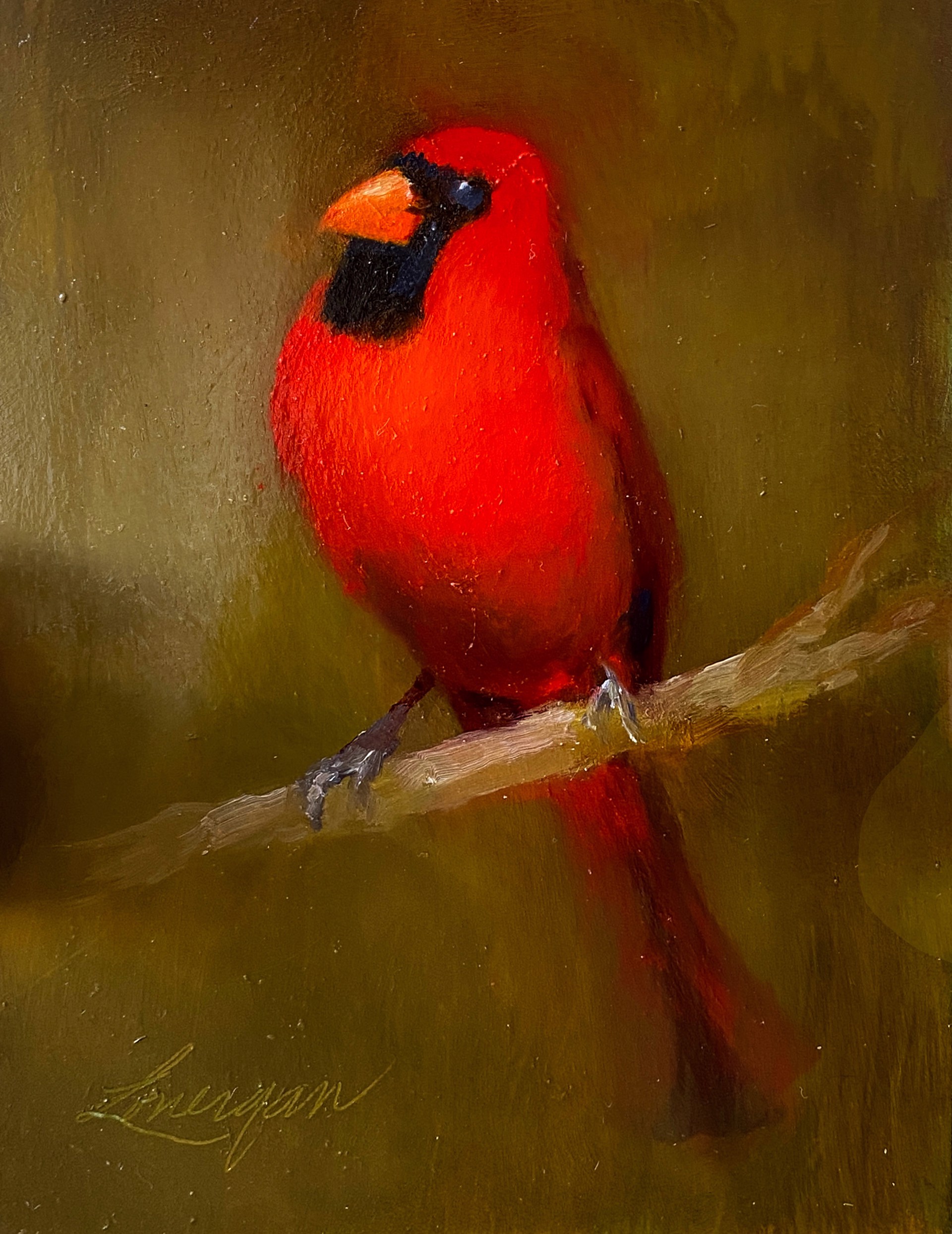 Male Cardinal by John Lonergan