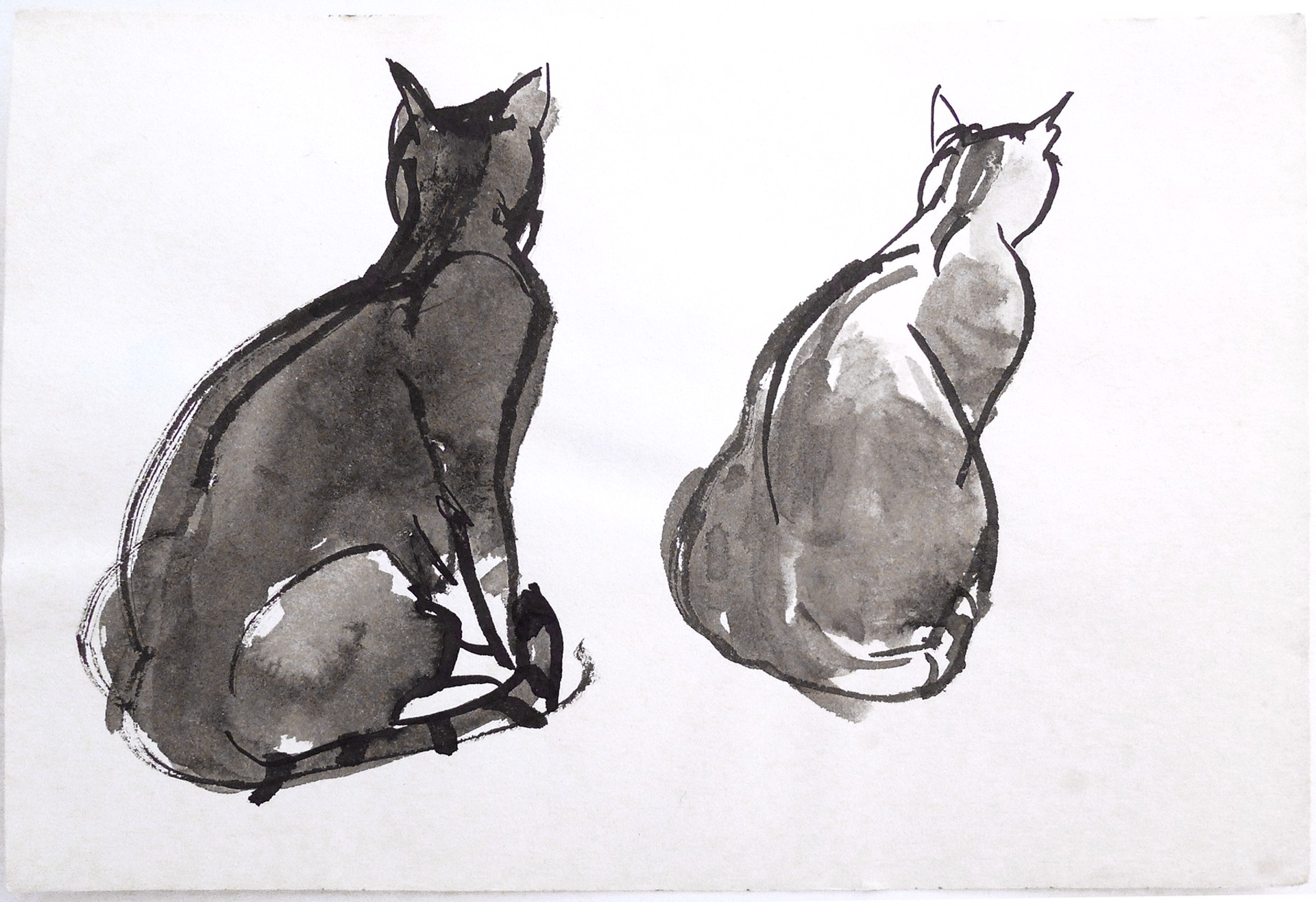Untitled - Two Black Cats by Sheila Gardner