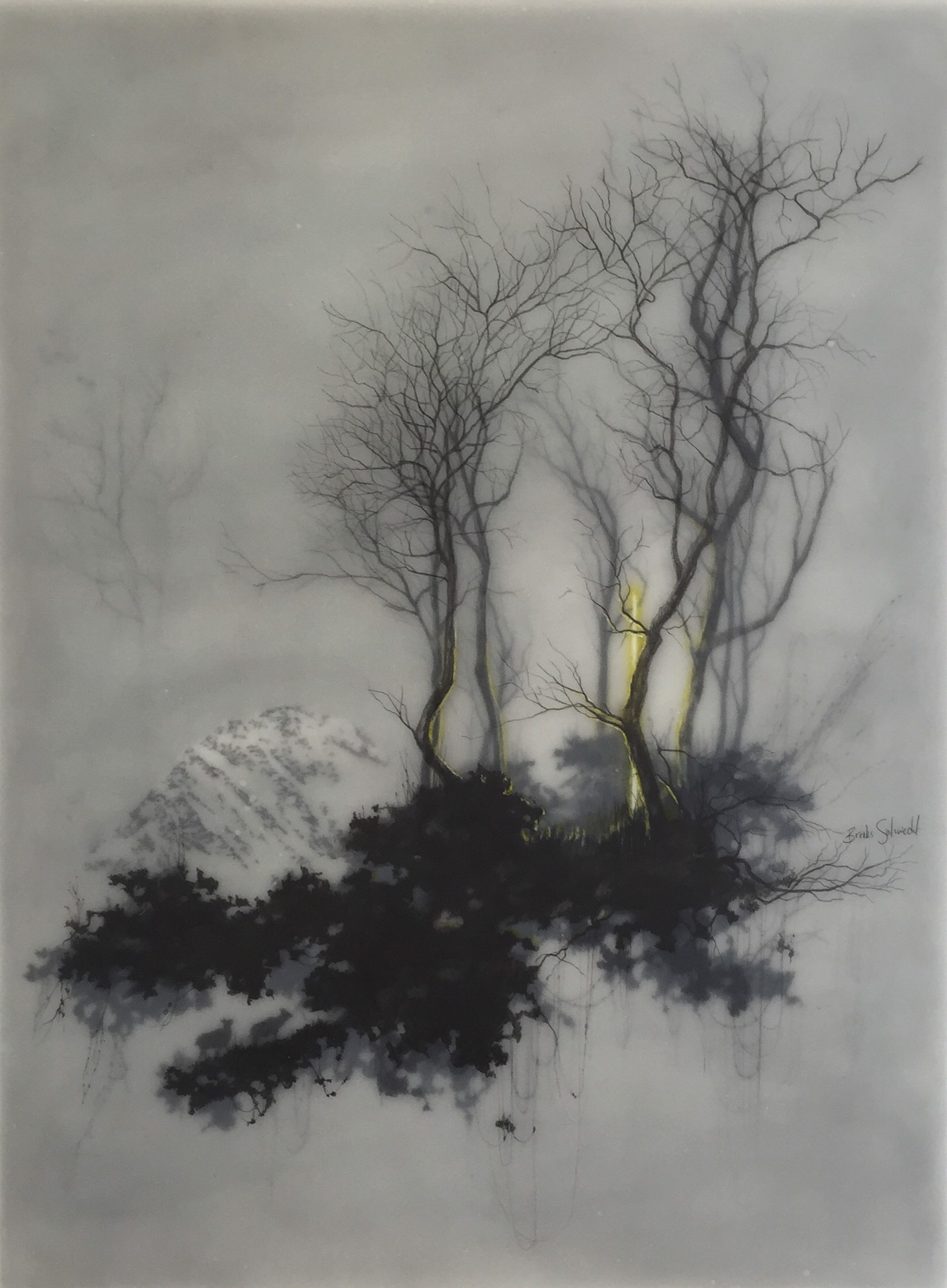 Neon Thing In Trees by Brooks Salzwedel