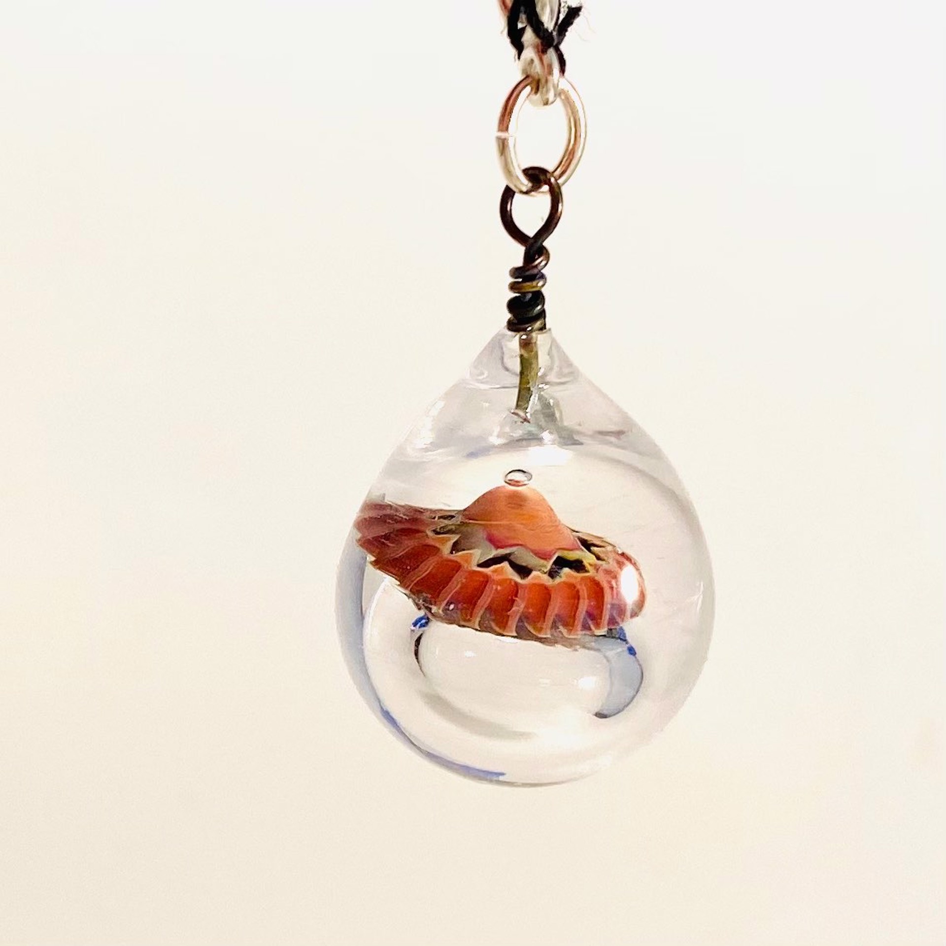 Clear Drop with Murrini Bubble Charm LS22-78 by Linda Sacra