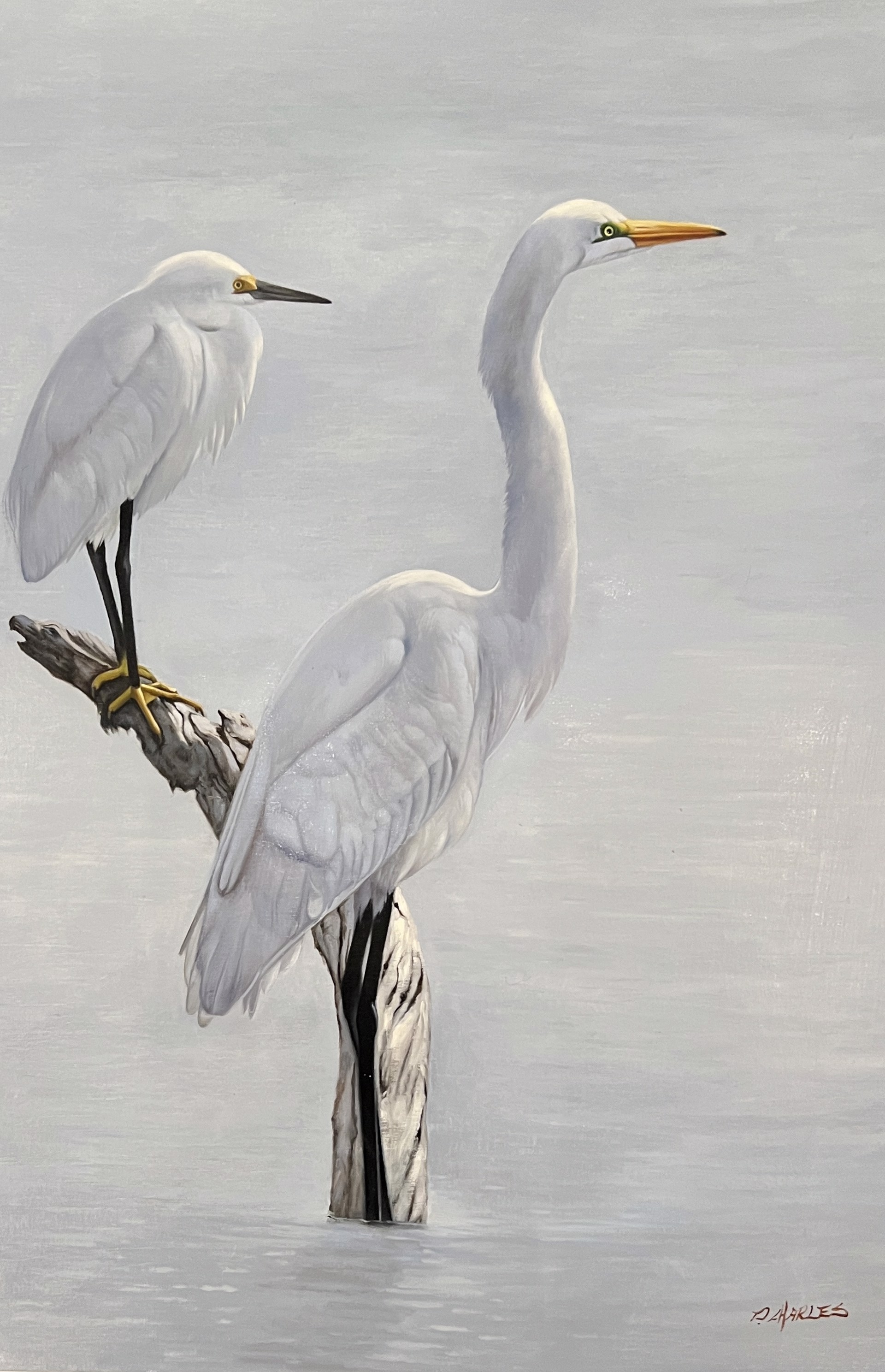EGRETS by P CHARLES