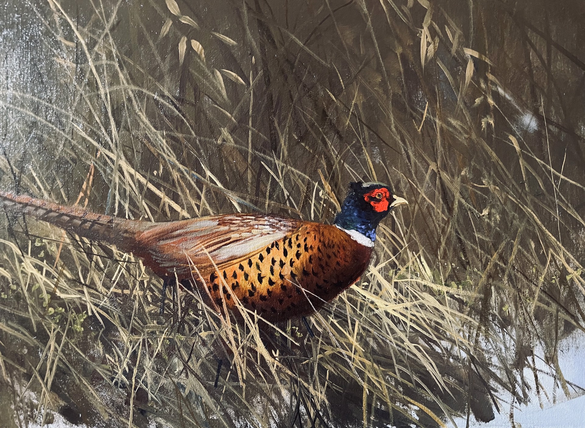 PHEASANT IN SNOW by Michael Coleman