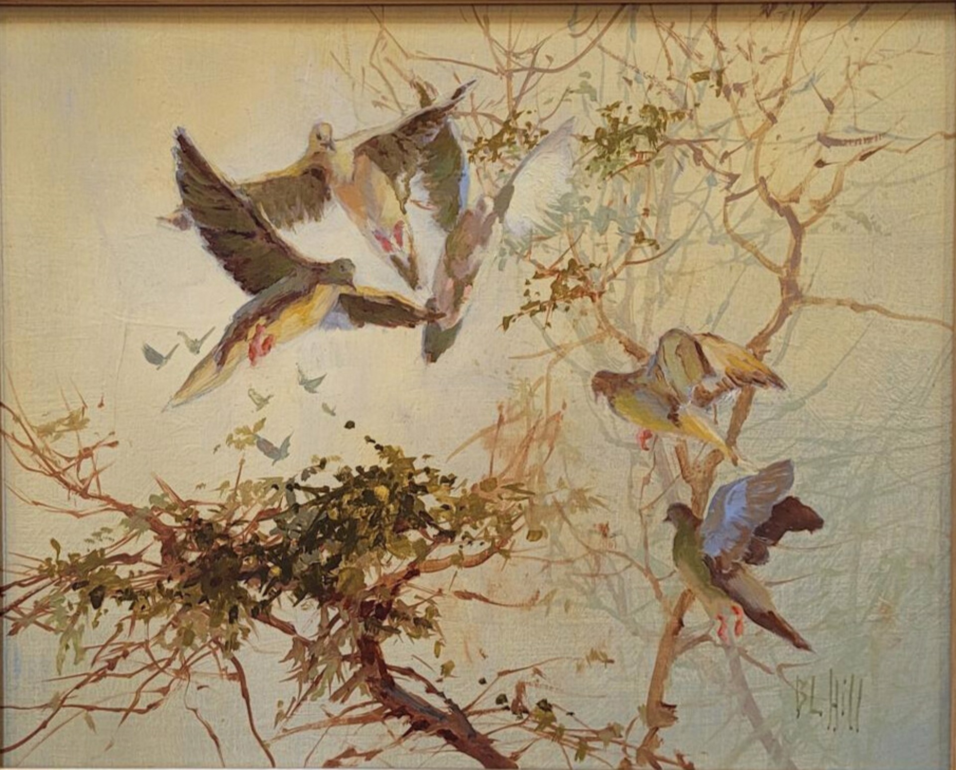 The Flight In by Barbara Hill