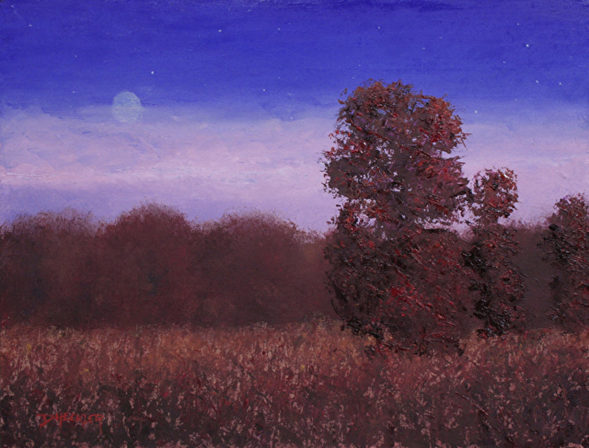 Moonlight Meadow by Dennis Heckler