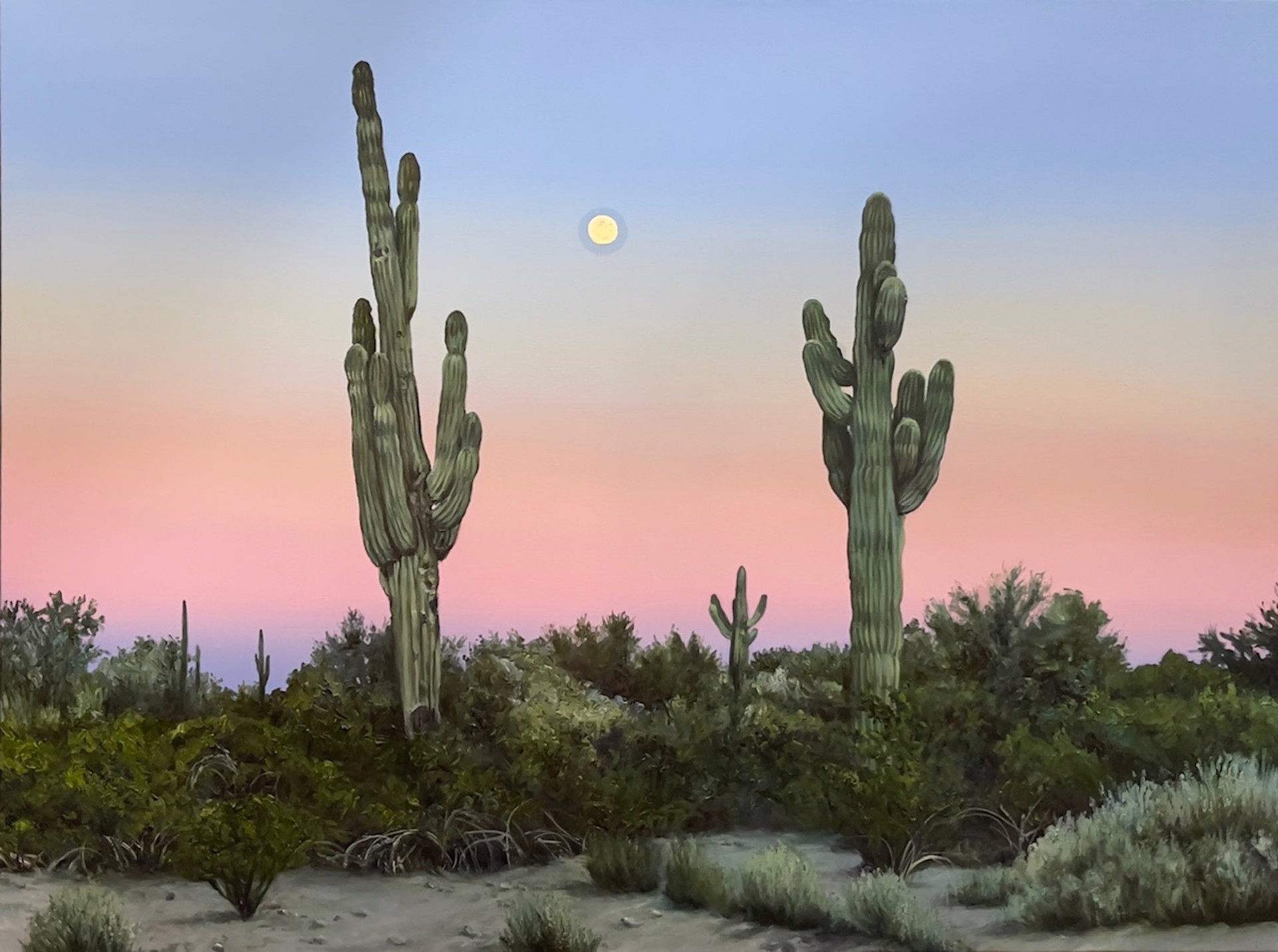 Saguaro Moon by Naomi Brown