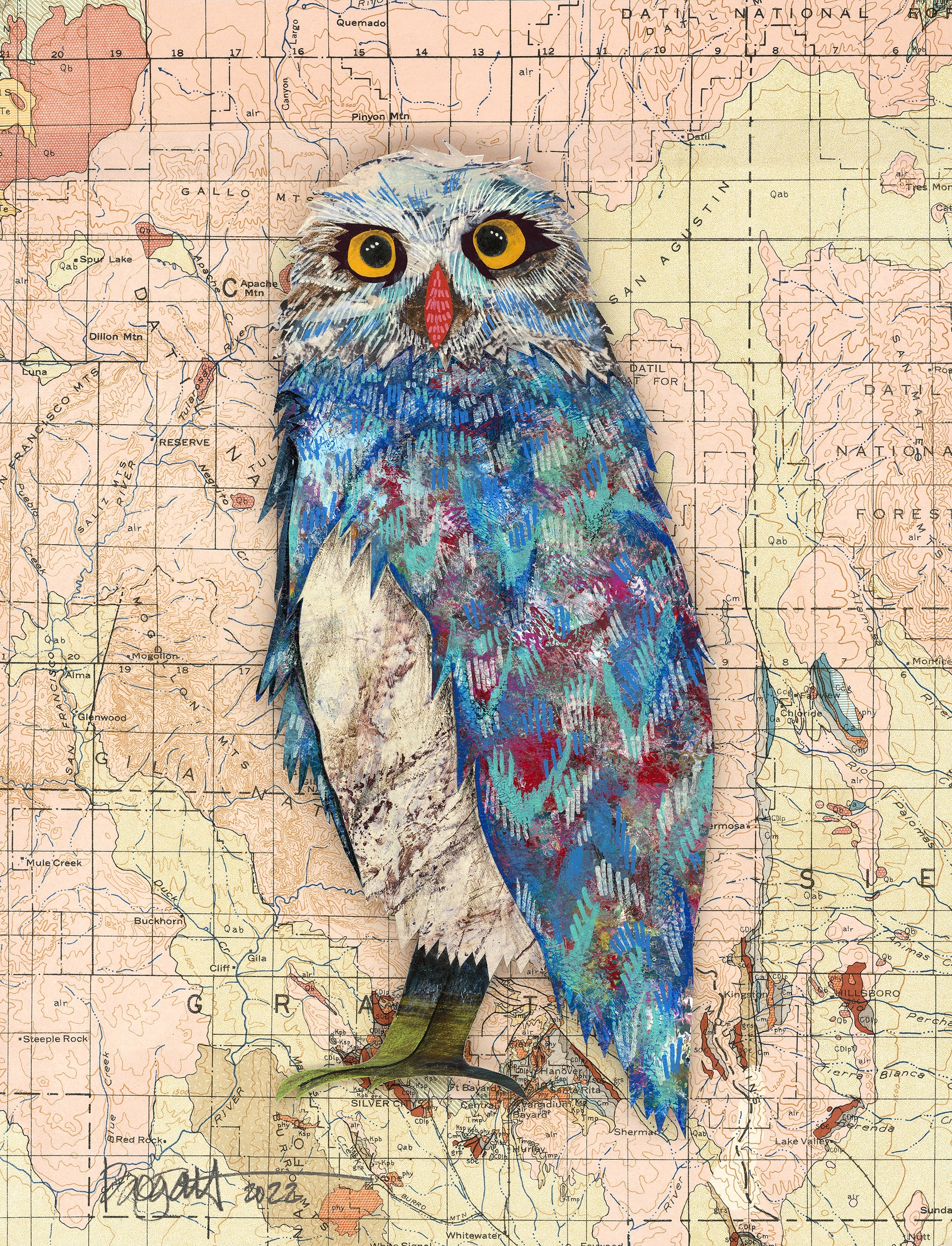 Screech Owl 10 by Brenda Bogart - Prints