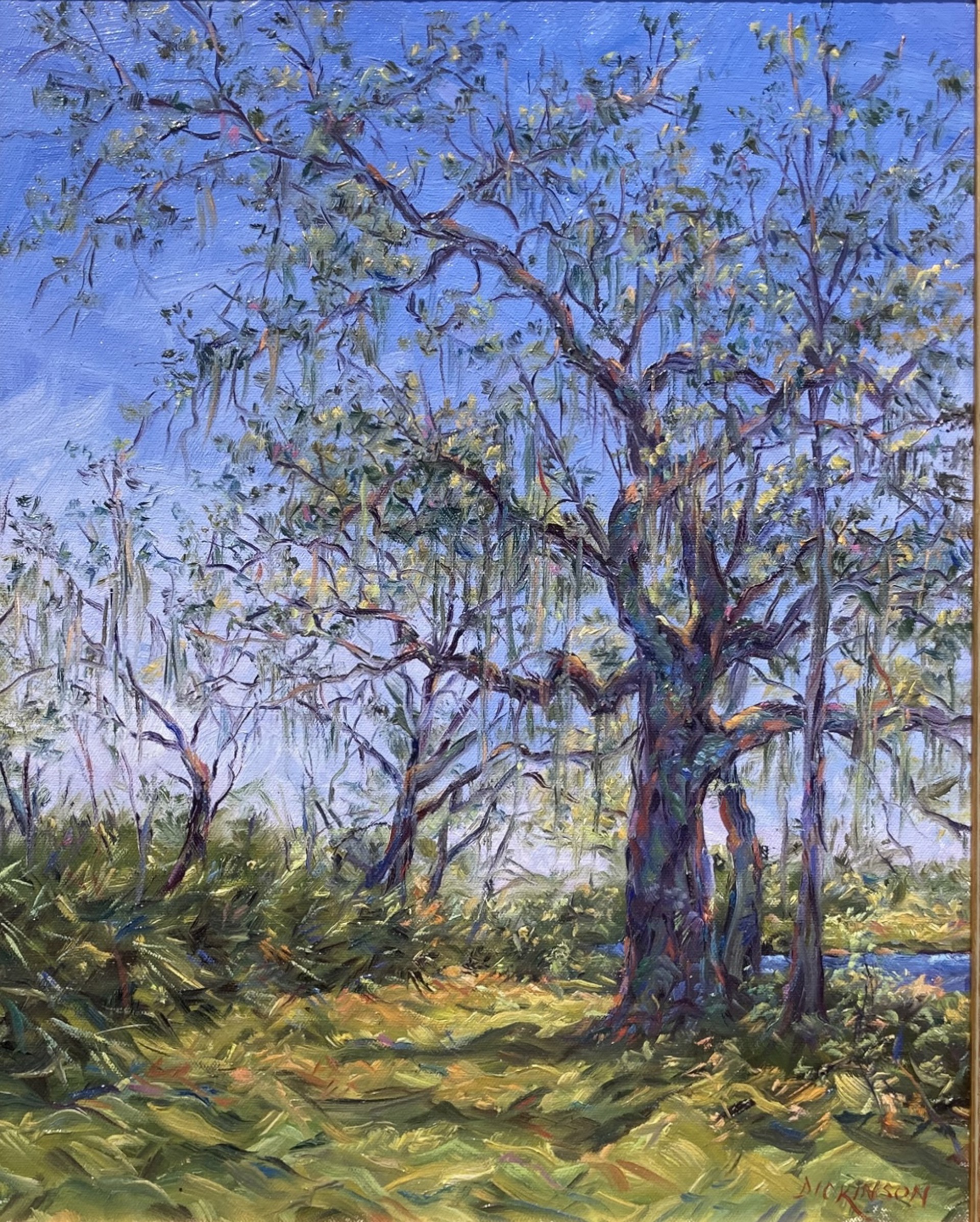 Sunlit Oak - SOLD by Charles Dickinson