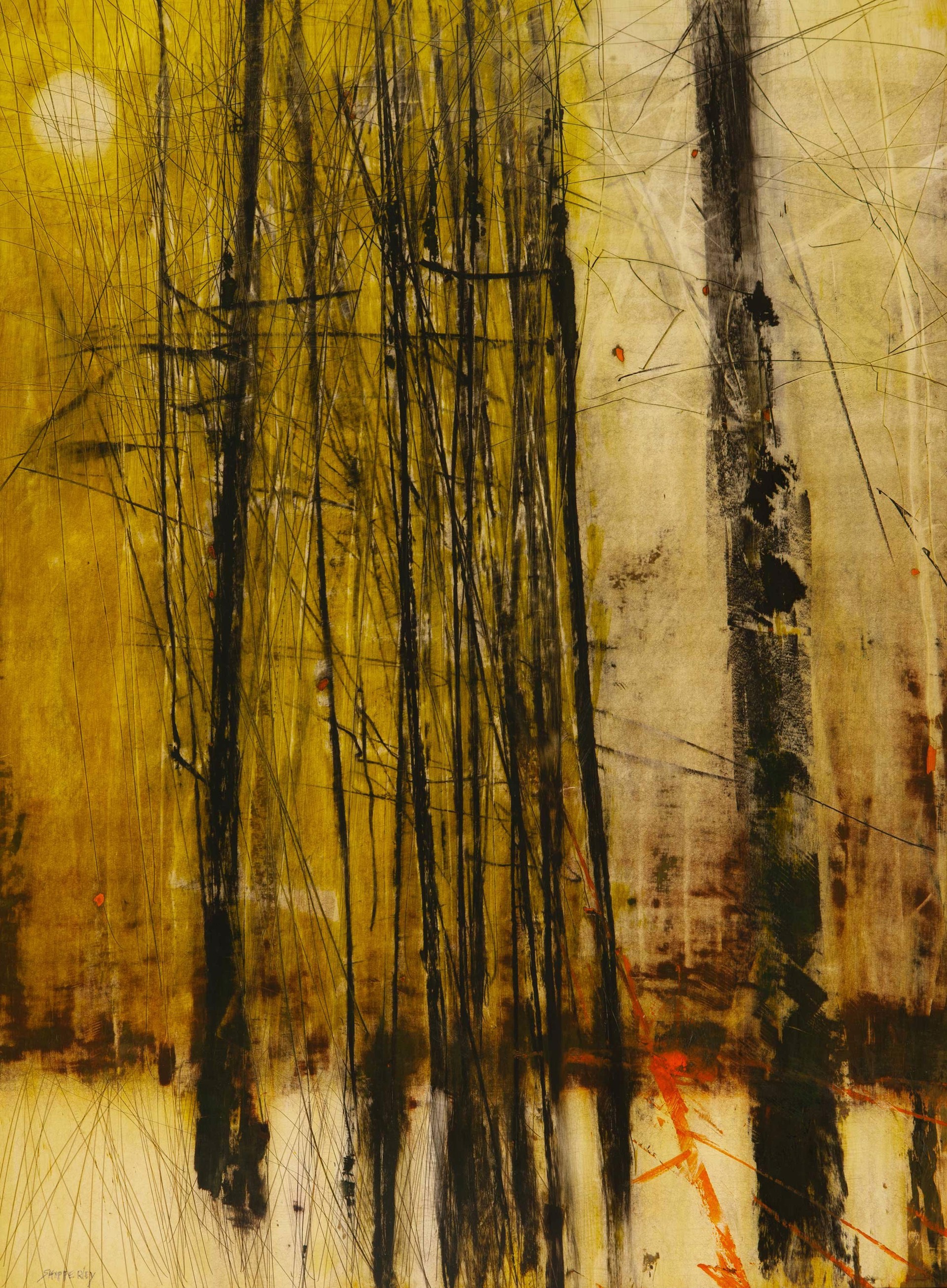 Moonlight by George Shipperley