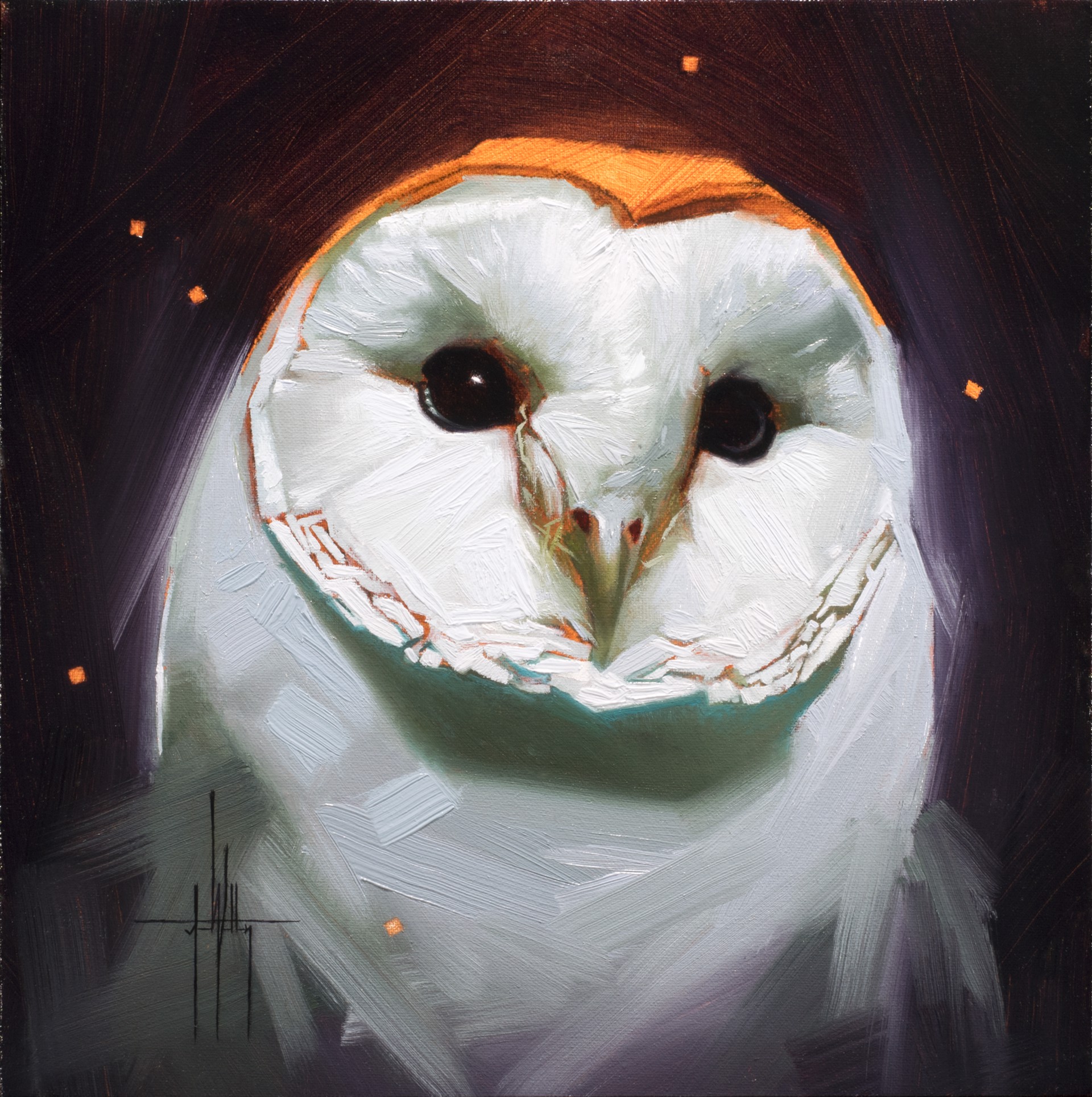 Barn Owl by Jess Wathen