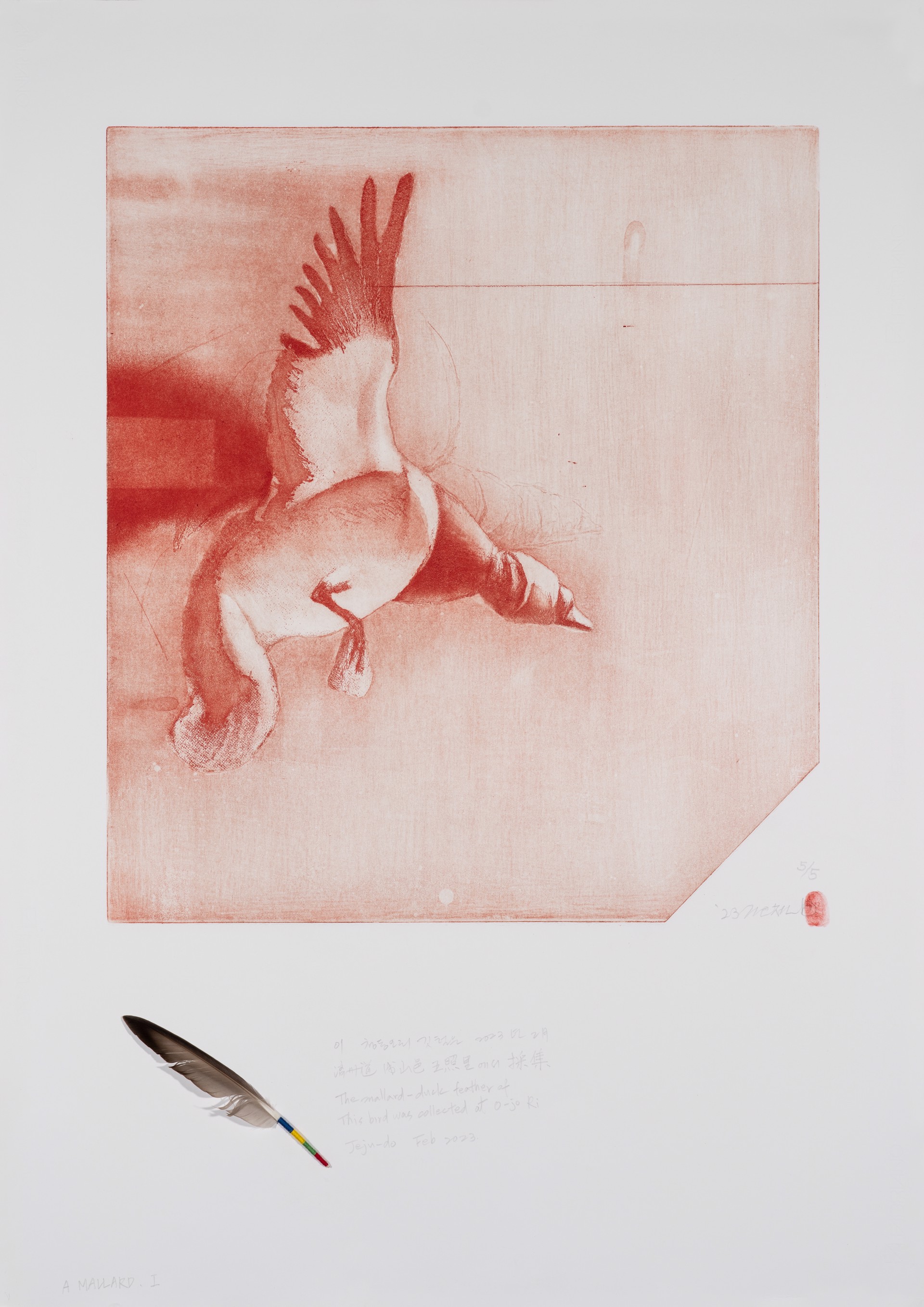 Blind Bird - Mallard by Gilchun Koh