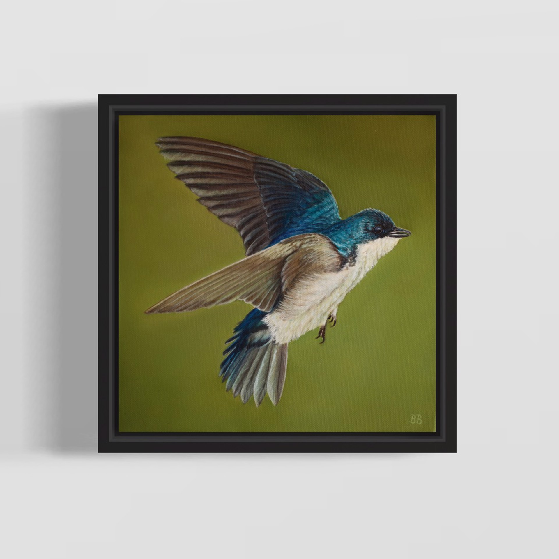 Three Tree Swallow by Bailey Burton