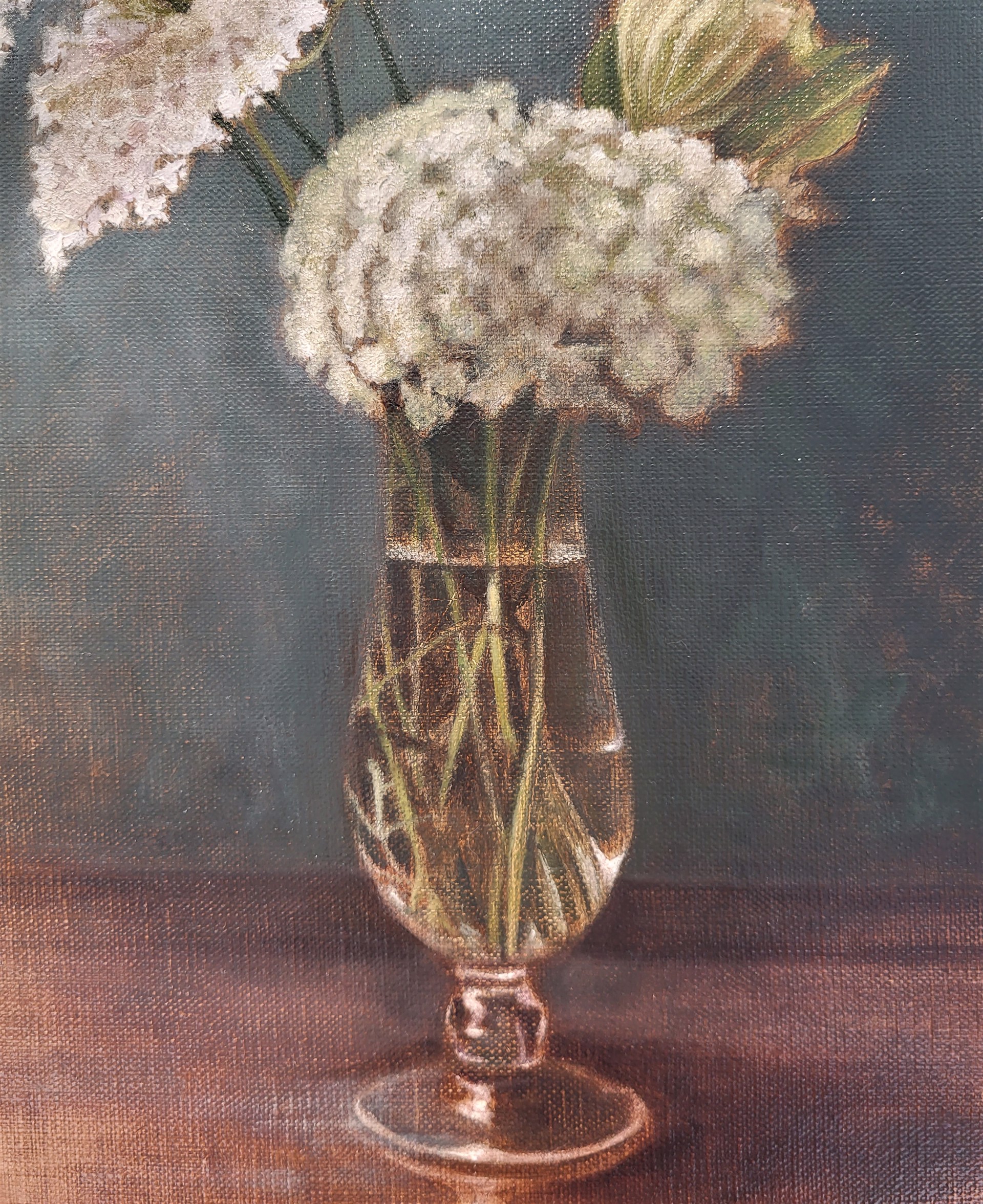 QUEEN ANNE'S LACE by MAXWELL NOLIN