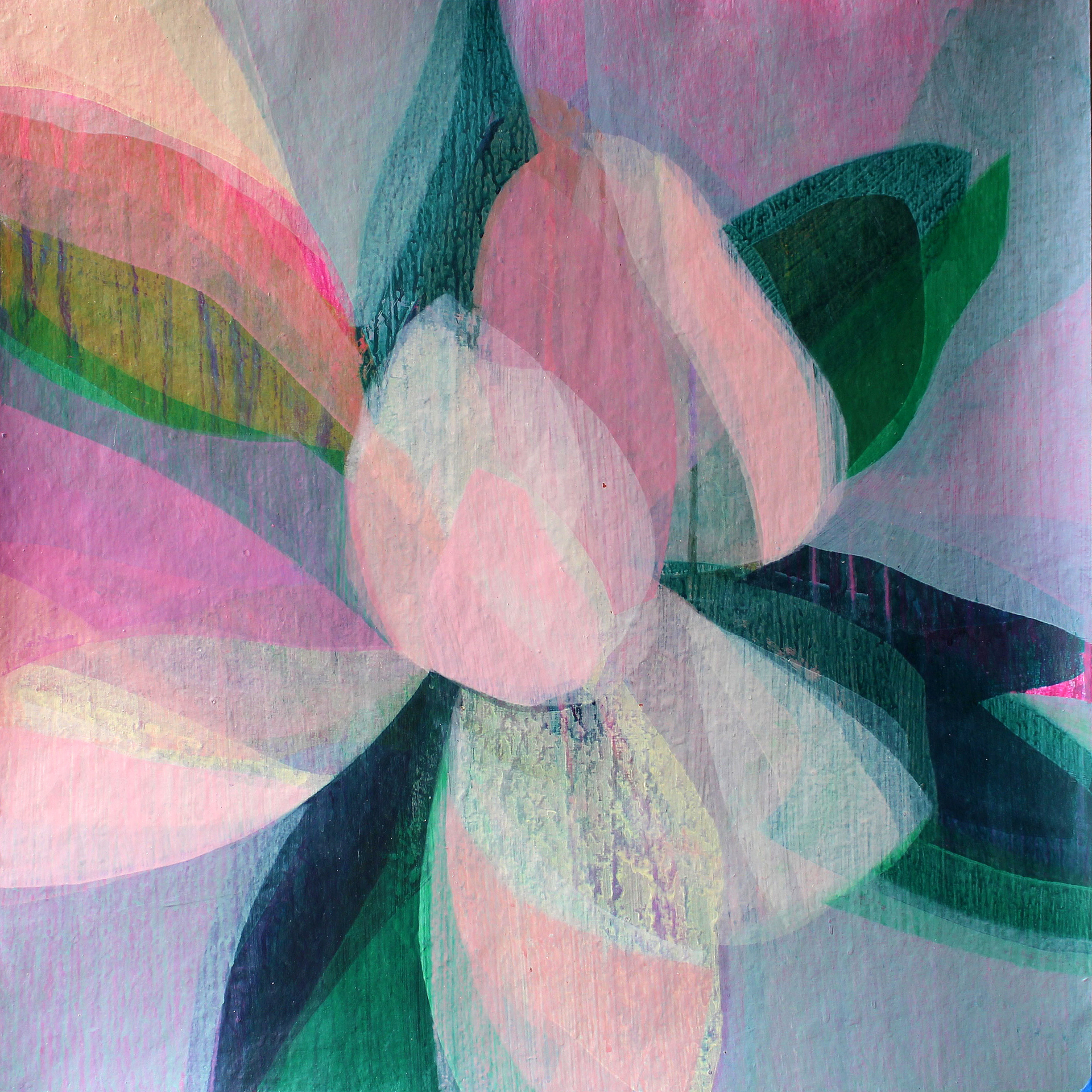 (Magnolia II) Oyster by Katherine Sandoz