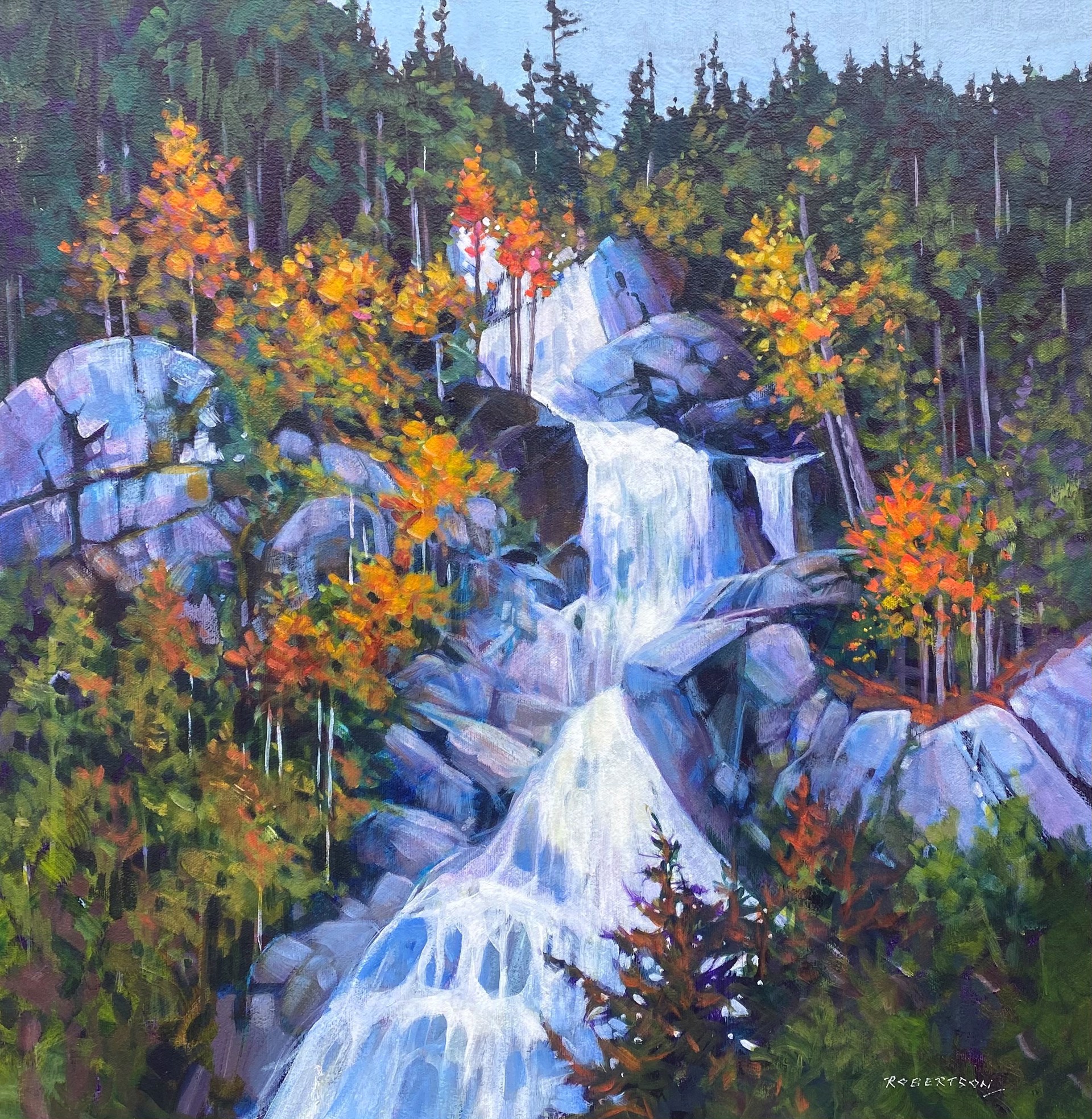 Shannon Falls II by JANICE ROBERTSON