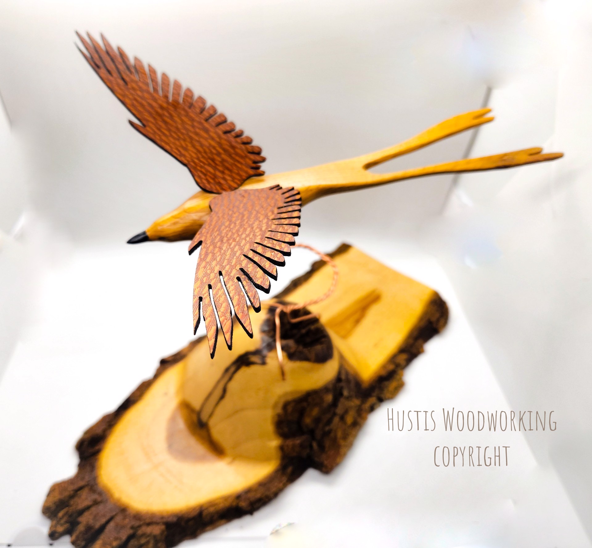 Scissortail Flycatcher by Mark Hustis