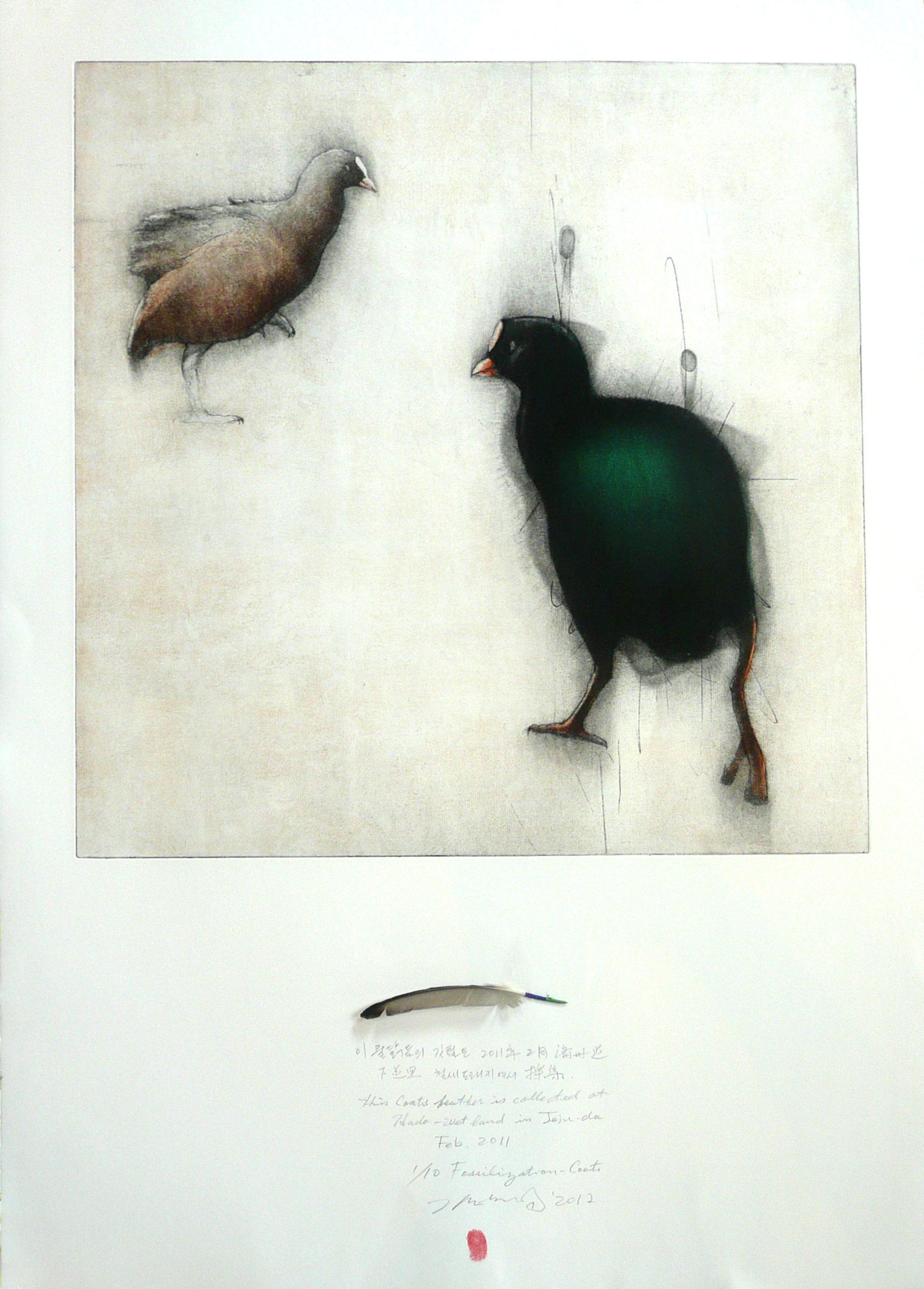Fossilization:  Coots  (Artist's Proof) by Gilchun Koh