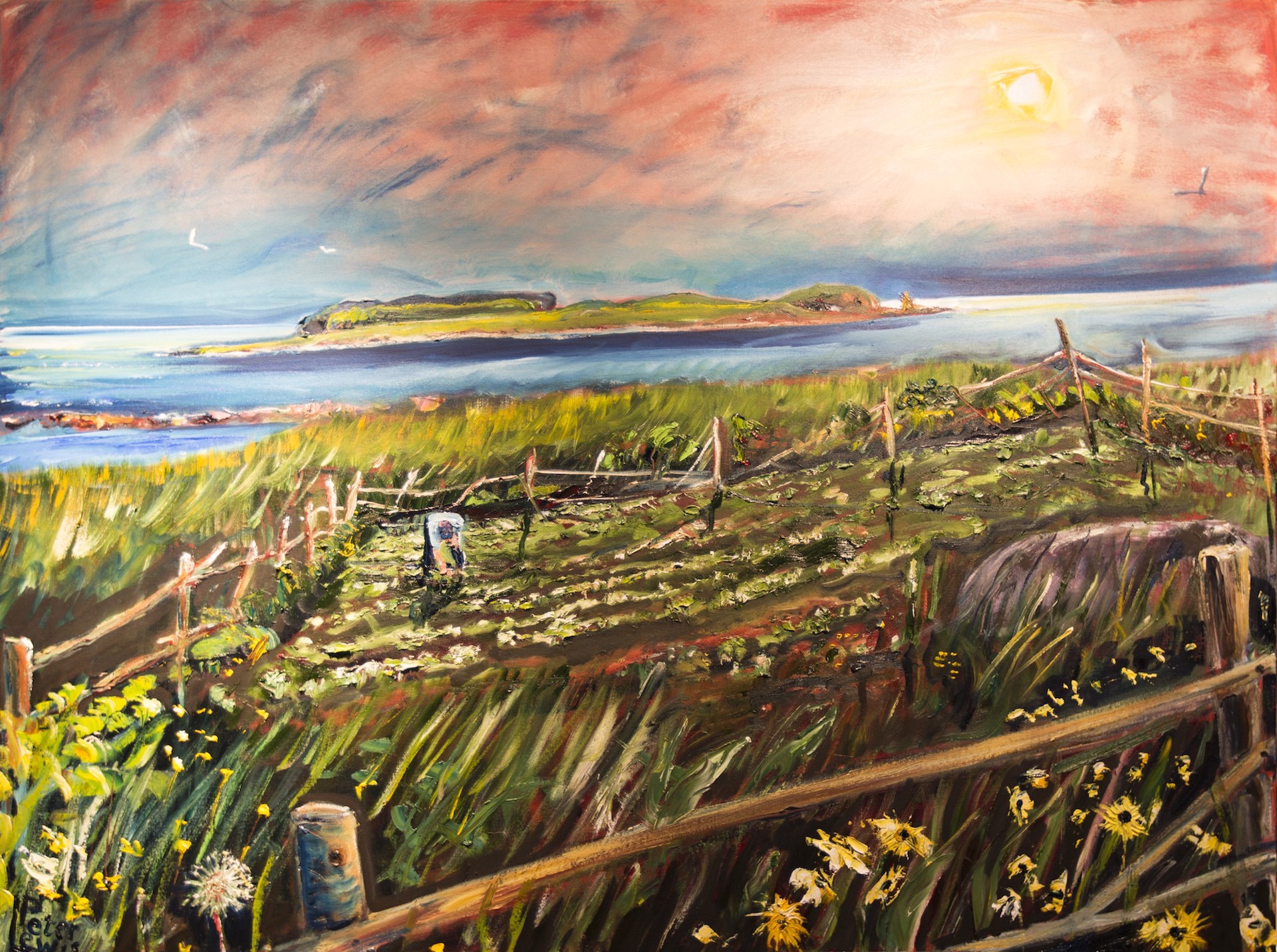 Winston Colbourne's Vegetable Patch, L'ans aux Meadows to Warren's Island by Peter Lewis