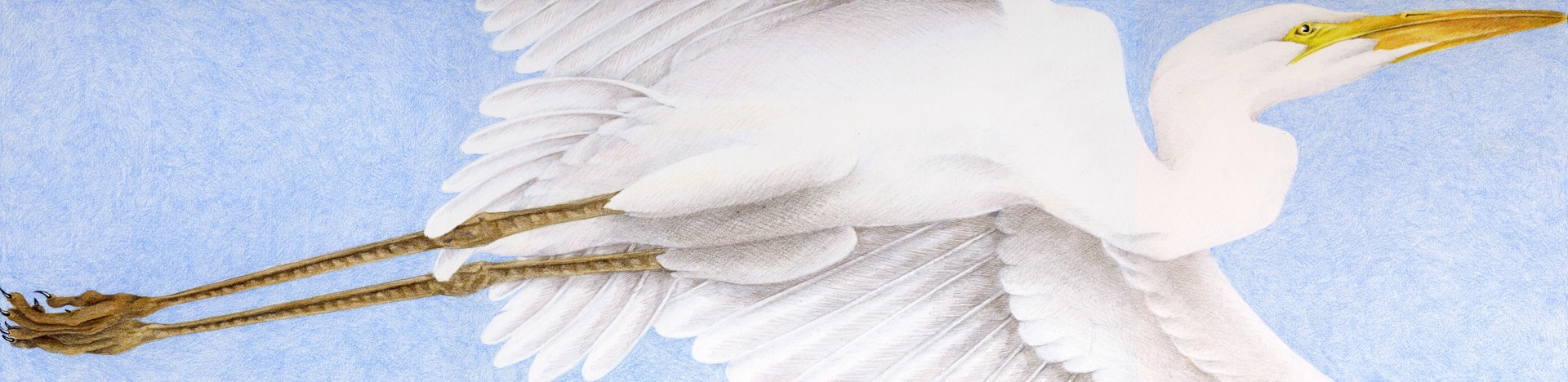 White Bird V by Mary Lee Eggart