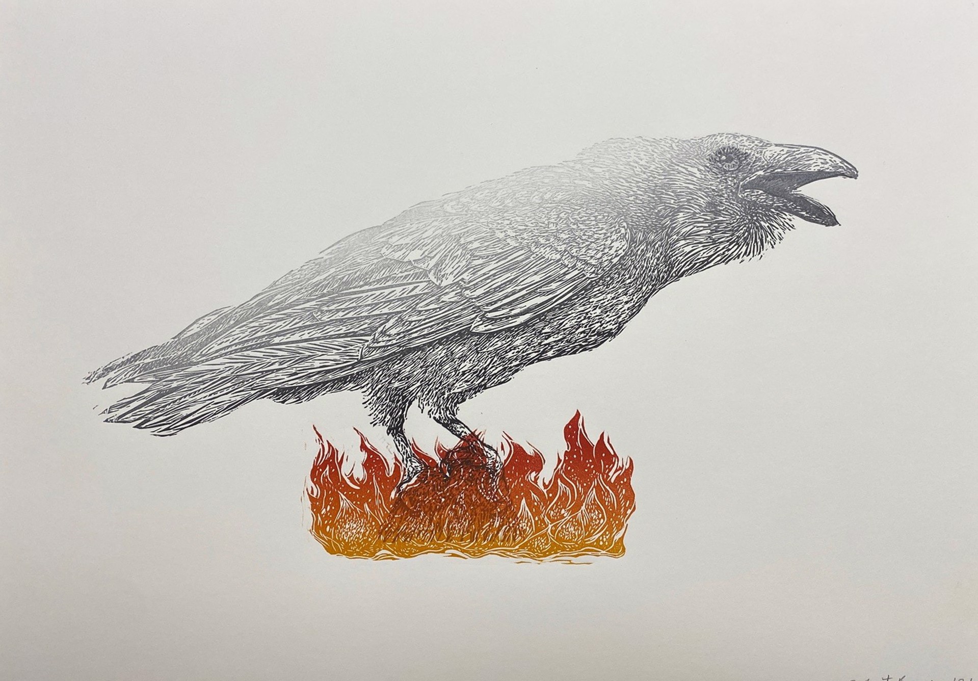 Apollo's Raven by Marit Berg