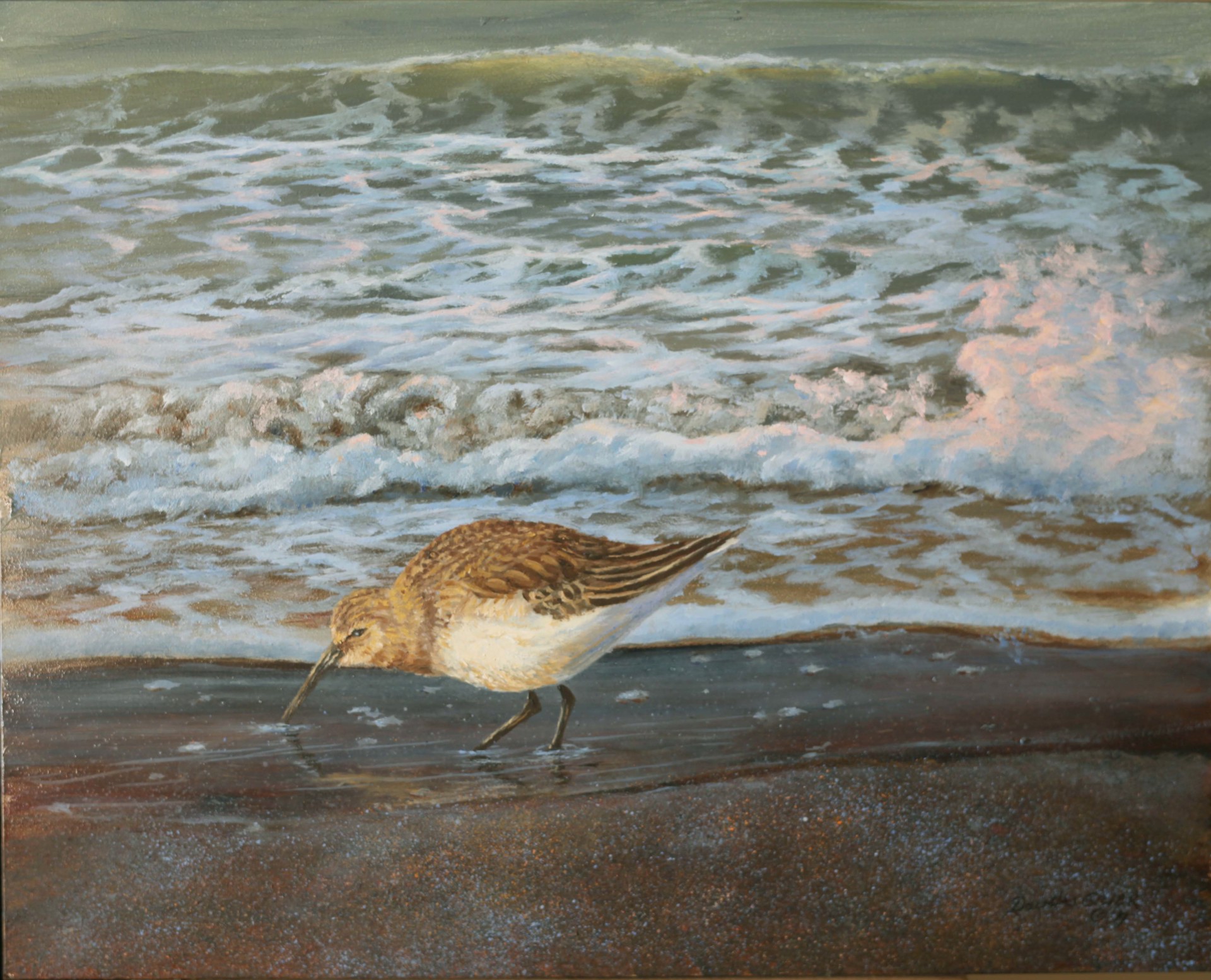 Sandpiper and Surf II by Douglas Grier