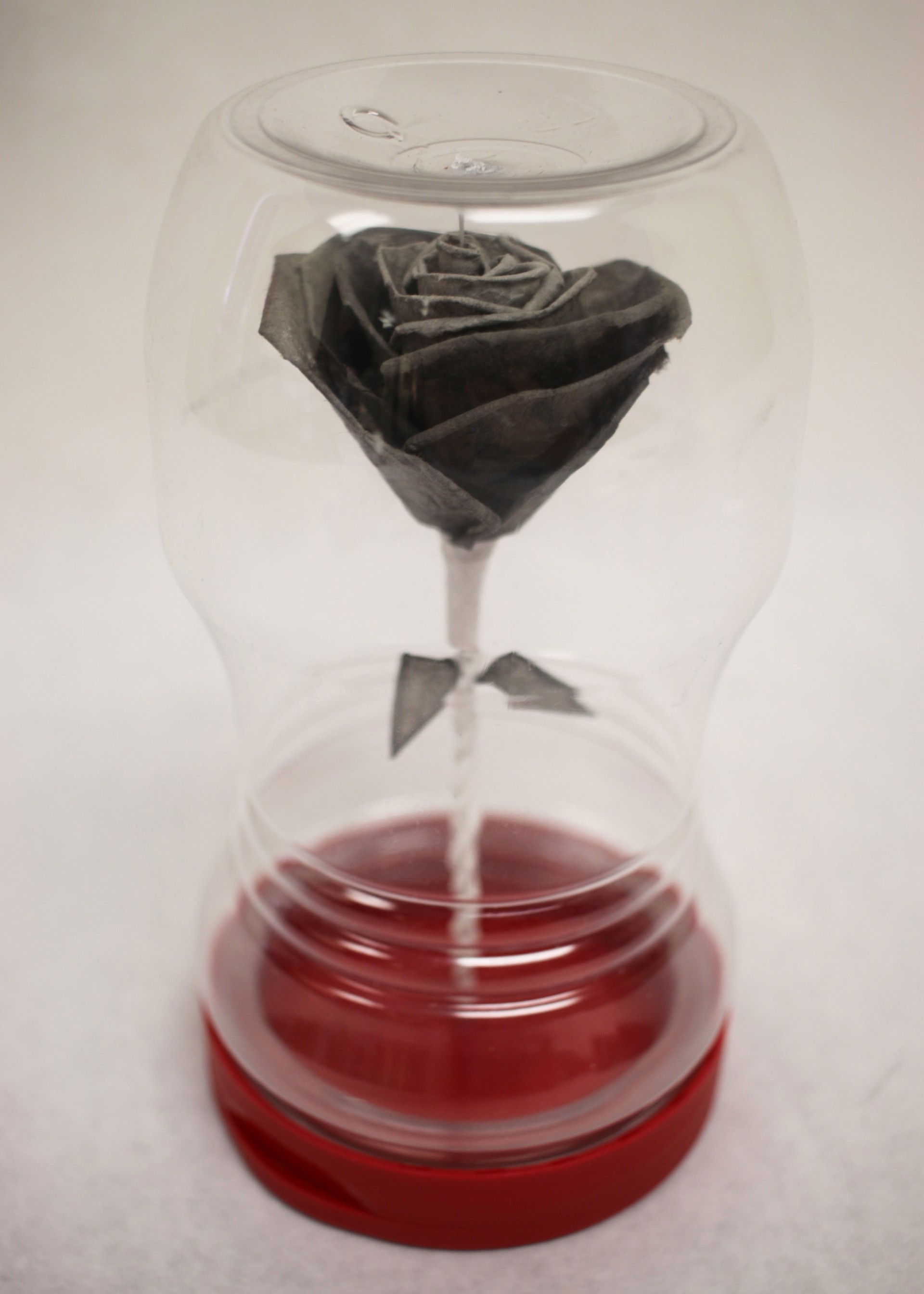 Grey Wash Rose aka Ghost Rose by A. Andreatta