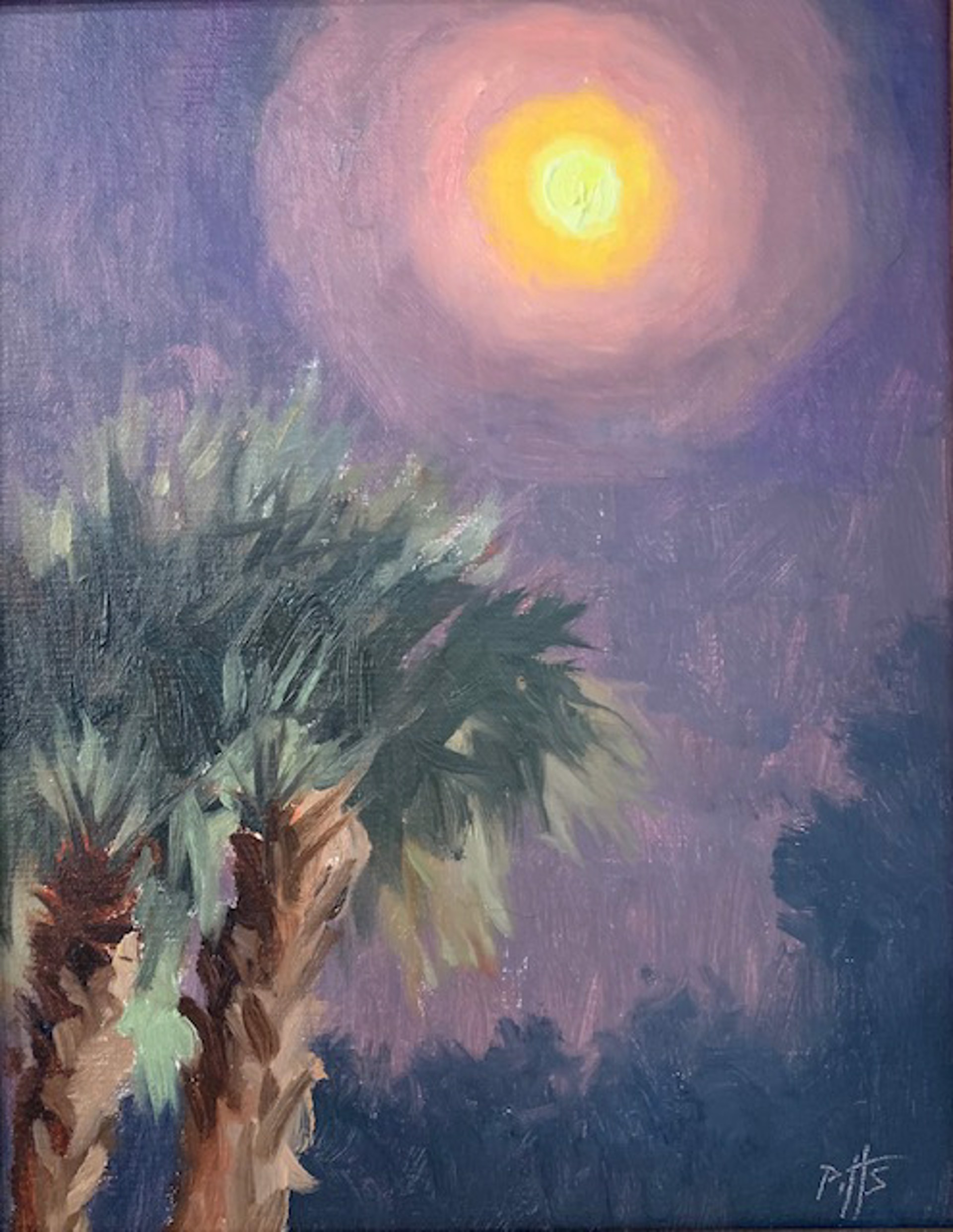 Palms Under a Full Moon by Randy Pitts