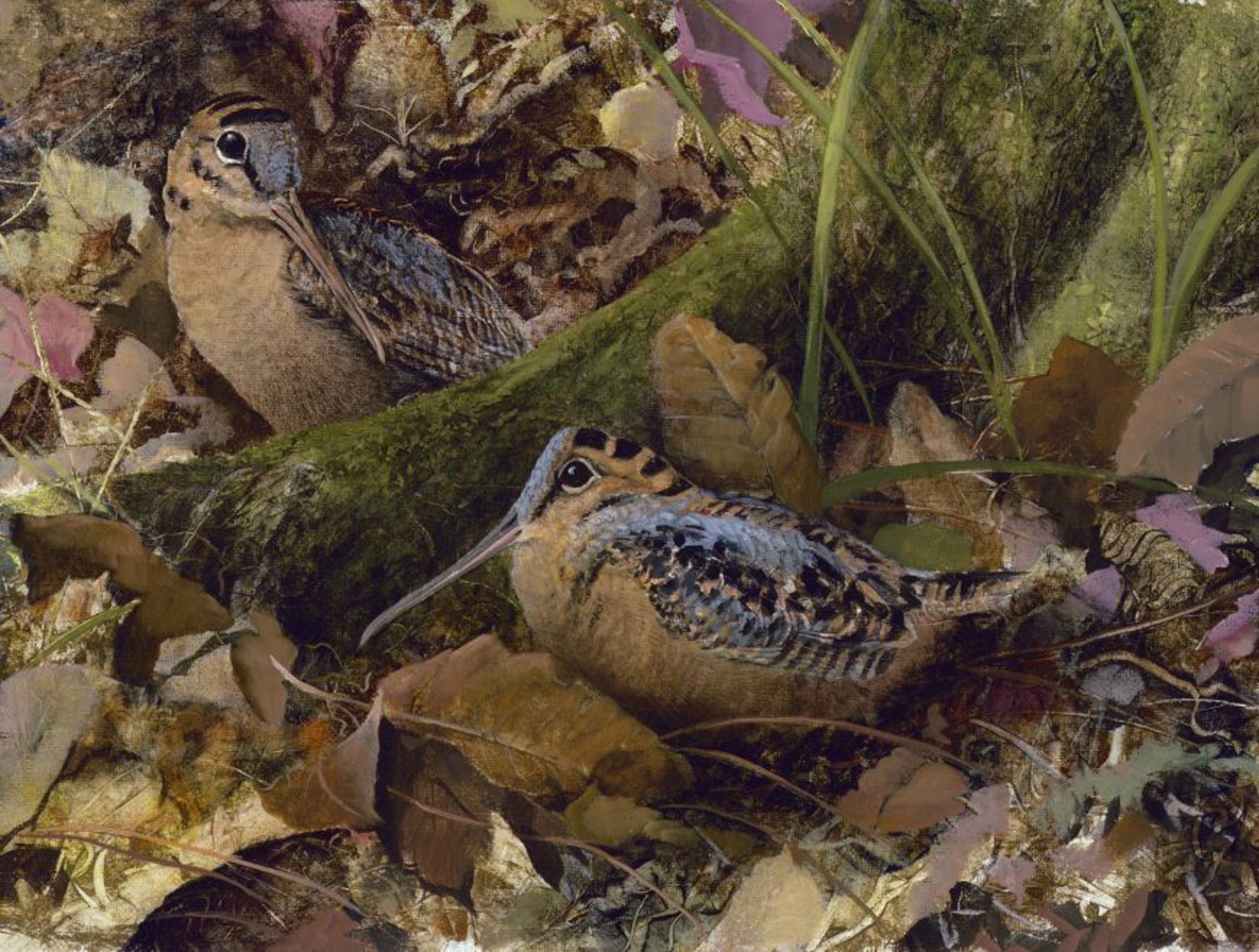 Woodcock In Fall Leaves by C. Ford Riley