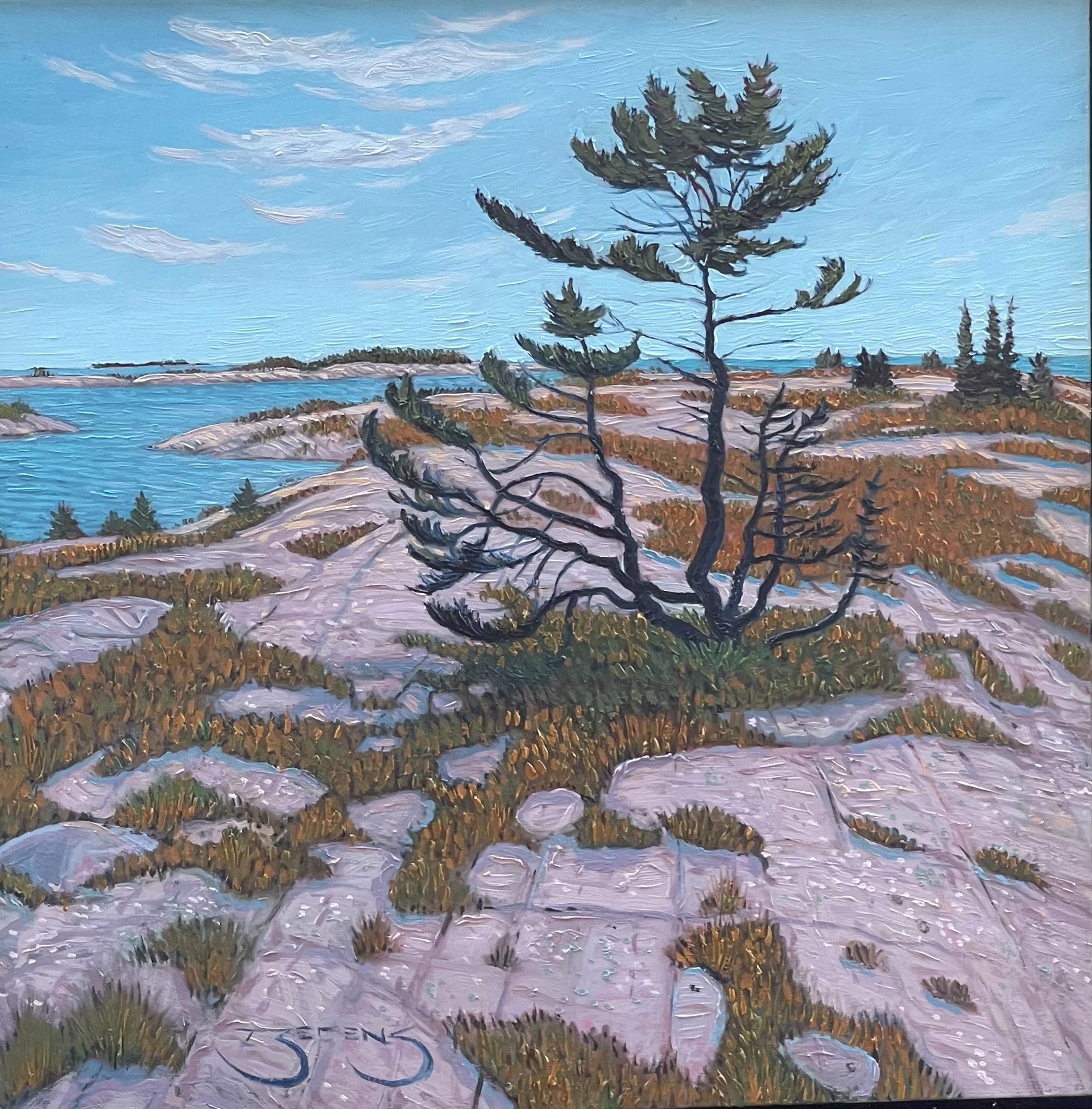 Dark Island Pine 2 Framed by Mark Berens