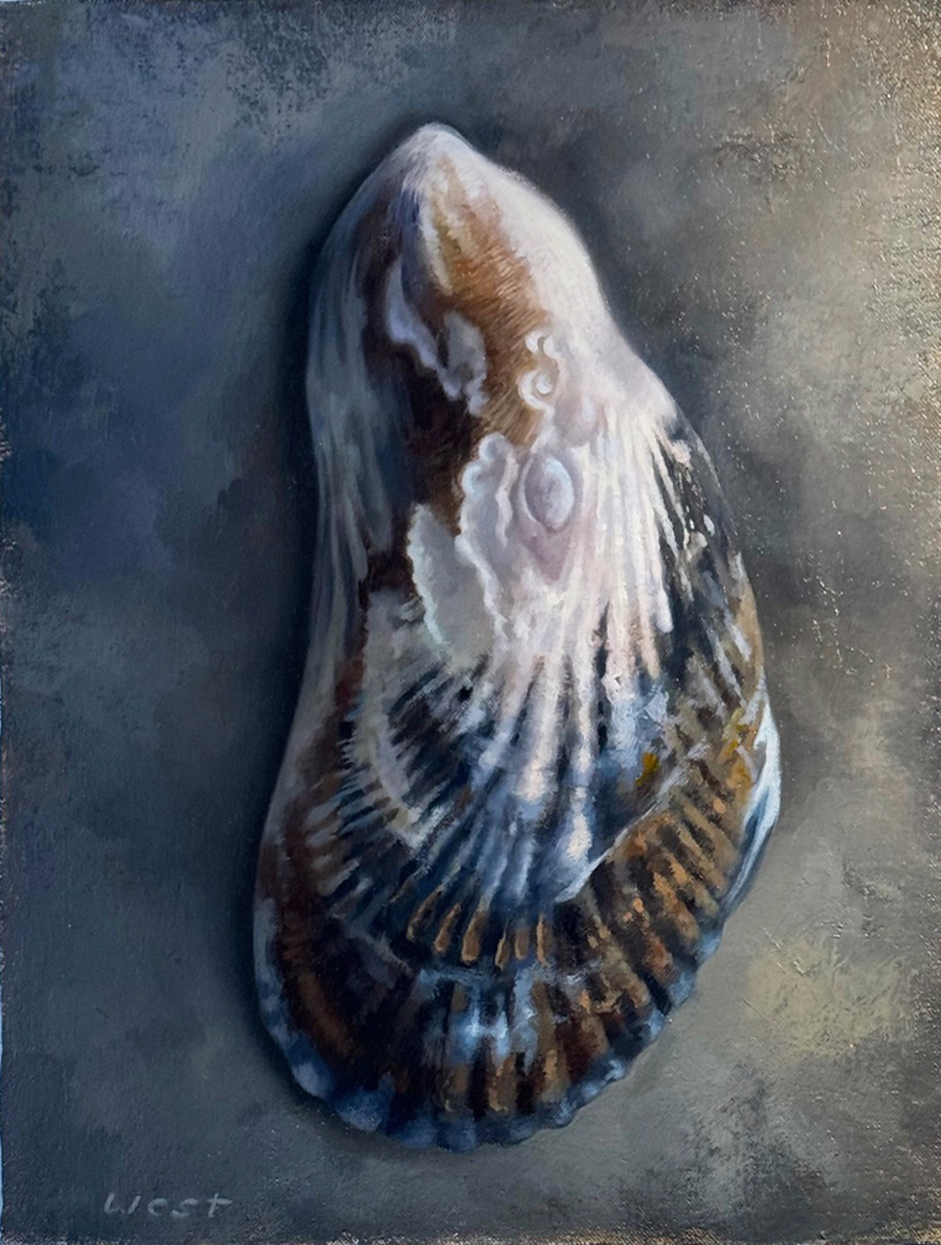 Blue Mussel by Mckenzie West