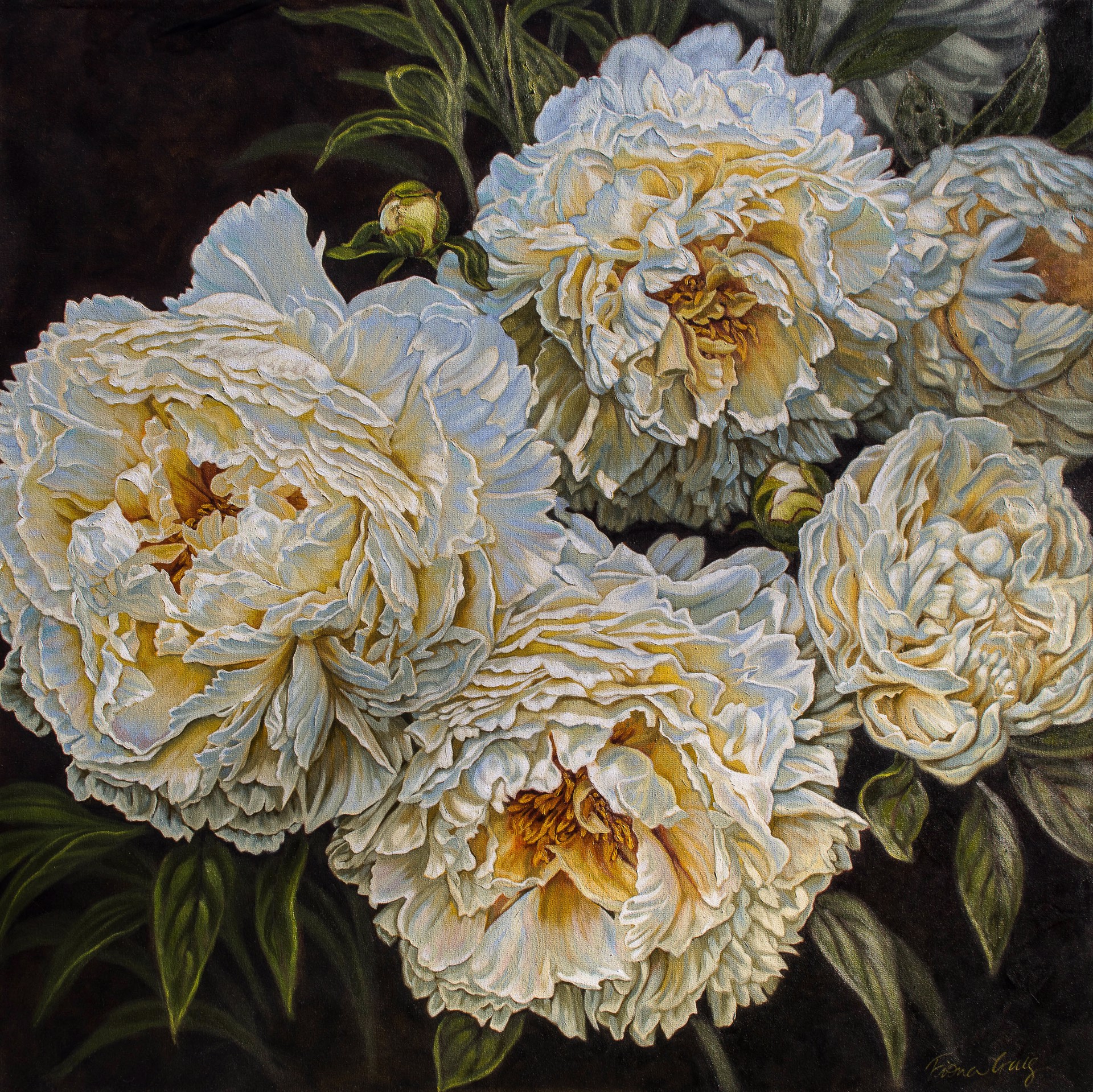 Antique Poenies by Fiona Craig