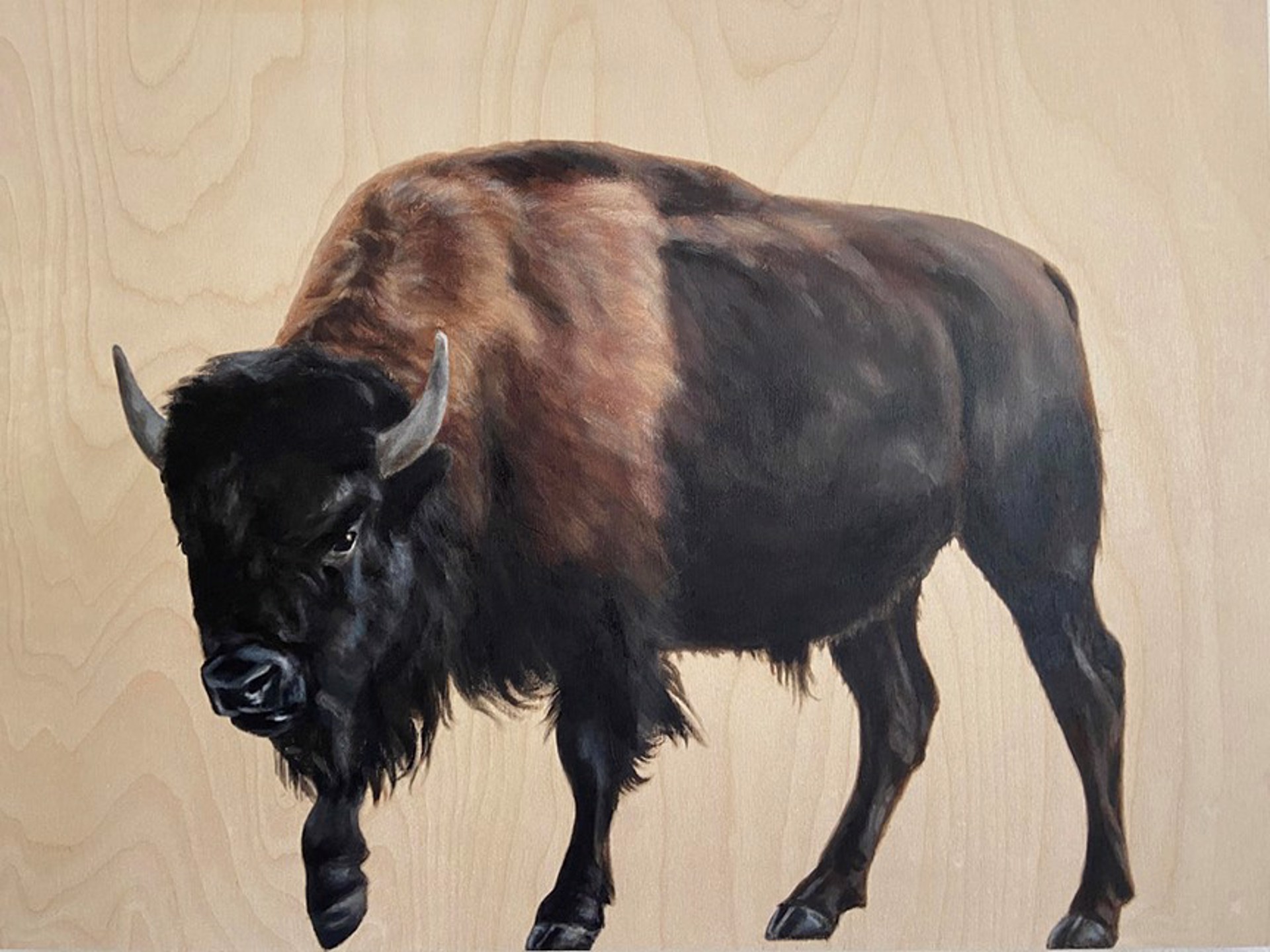 Bison by Gretta Gibney